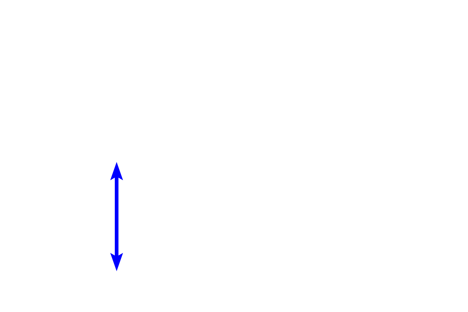 Pulmonary artery <p>A low magnification view of the lung shows a cross section of a bronchus accompanied by a large pulmonary artery. Pulmonary arteries lie adjacent to, not within the wall of, respiratory passageways, carrying deoxygenated blood to the alveolar capillary bed.  40x</p>
