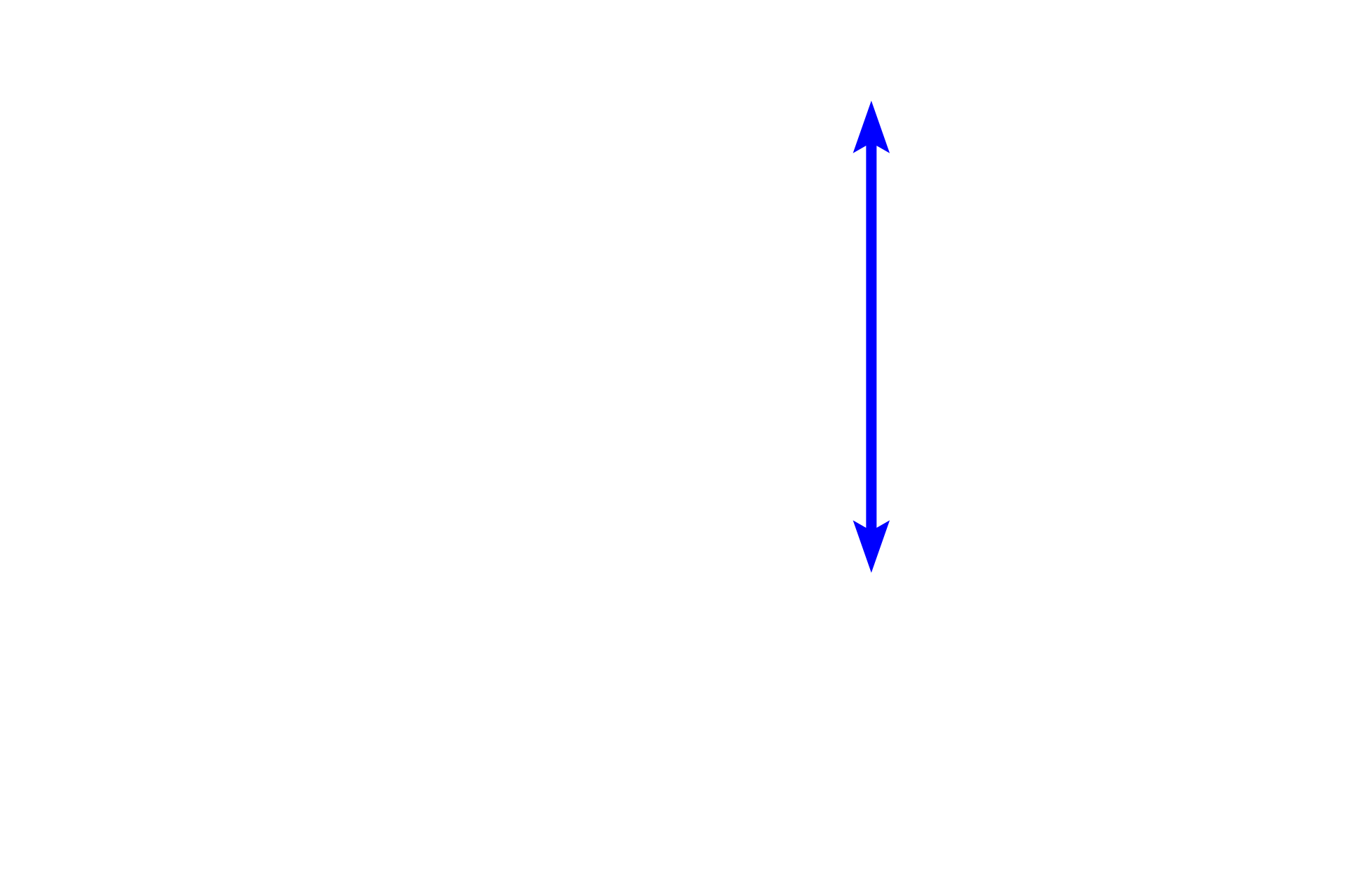 Bronchus <p>A low magnification view of the lung shows a cross section of a bronchus accompanied by a large pulmonary artery. Pulmonary arteries lie adjacent to, not within the wall of, respiratory passageways, carrying deoxygenated blood to the alveolar capillary bed.  40x</p>
