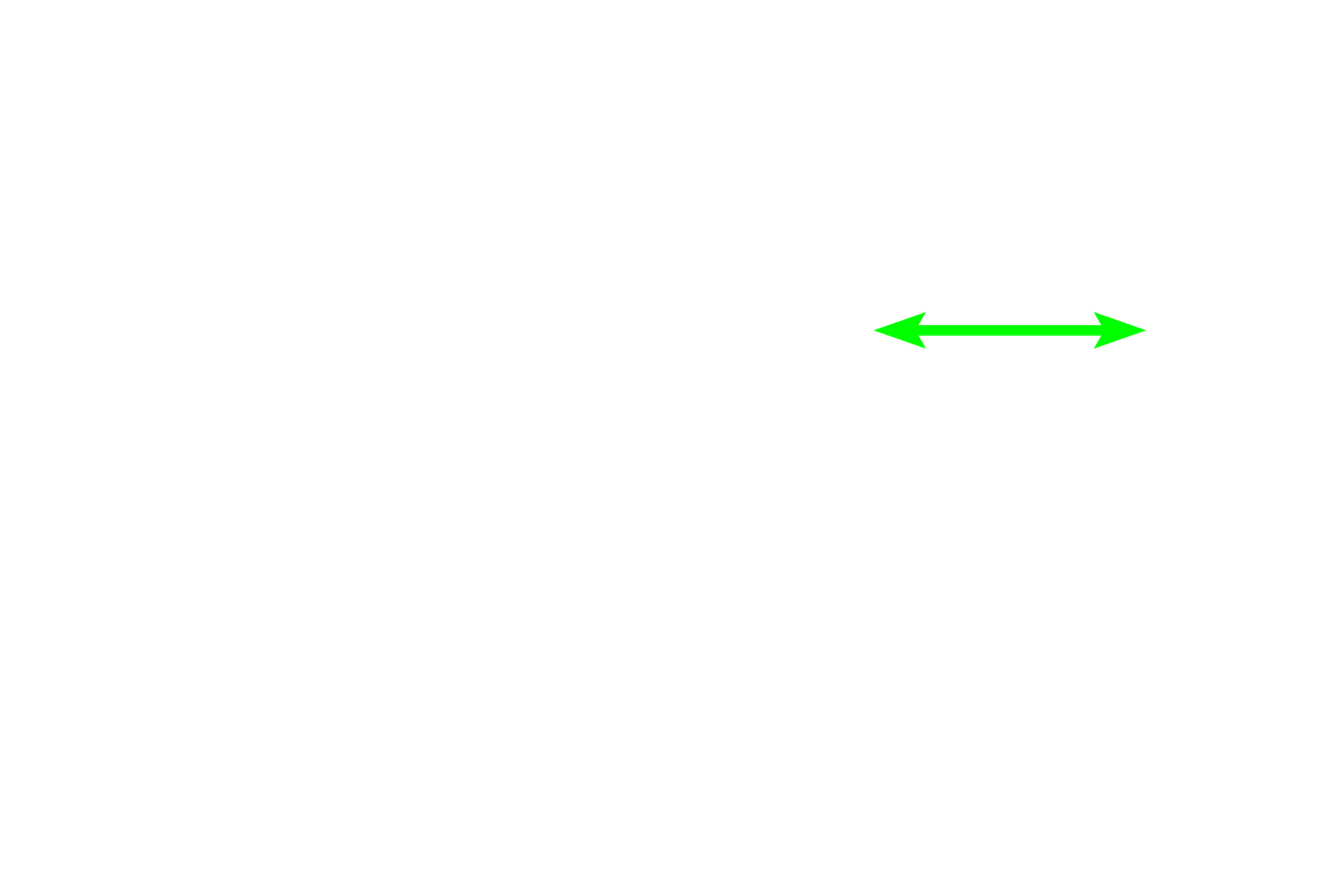 Pulmonary artery <p>This smaller bronchus and its accompanying pulmonary artery are seen in cross section, surrounded by alveoli. The pulmonary artery lies outside the wall of the bronchus.  200x</p>

