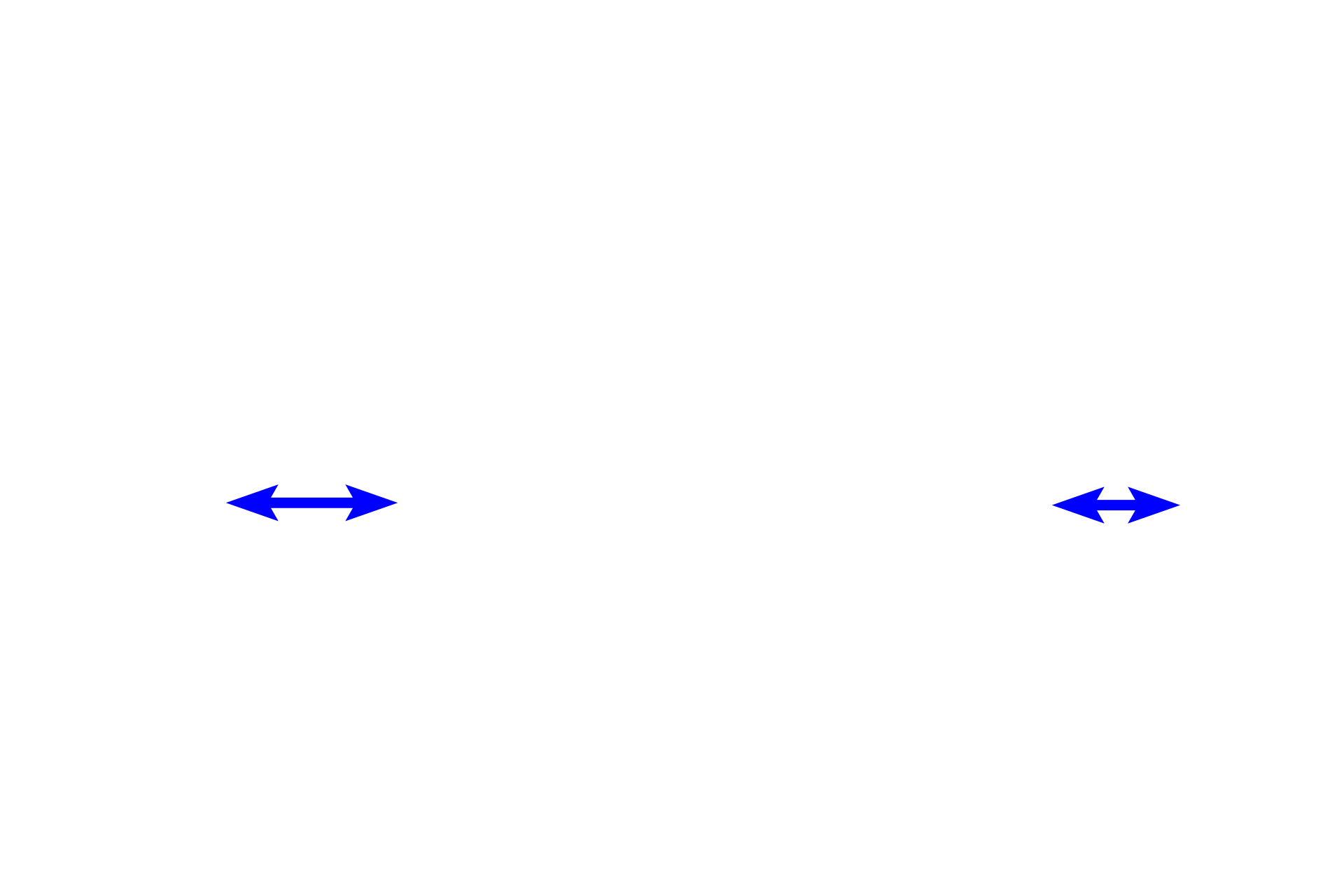 Interalveolar septa <p>Pulmonary arteries supply deoxygenated blood to alveolar capillaries in the interalveolar septa. The walls of these capillaries form a portion of the air-blood barrier, across which oxygen and carbon dioxide are exchanged. Oxygenated blood from alveolar capillaries drains mostly into pulmonary veins. The presence of smooth muscle knobs indicates that this alveolus is attached to an alveolar duct. 1000x</p>
