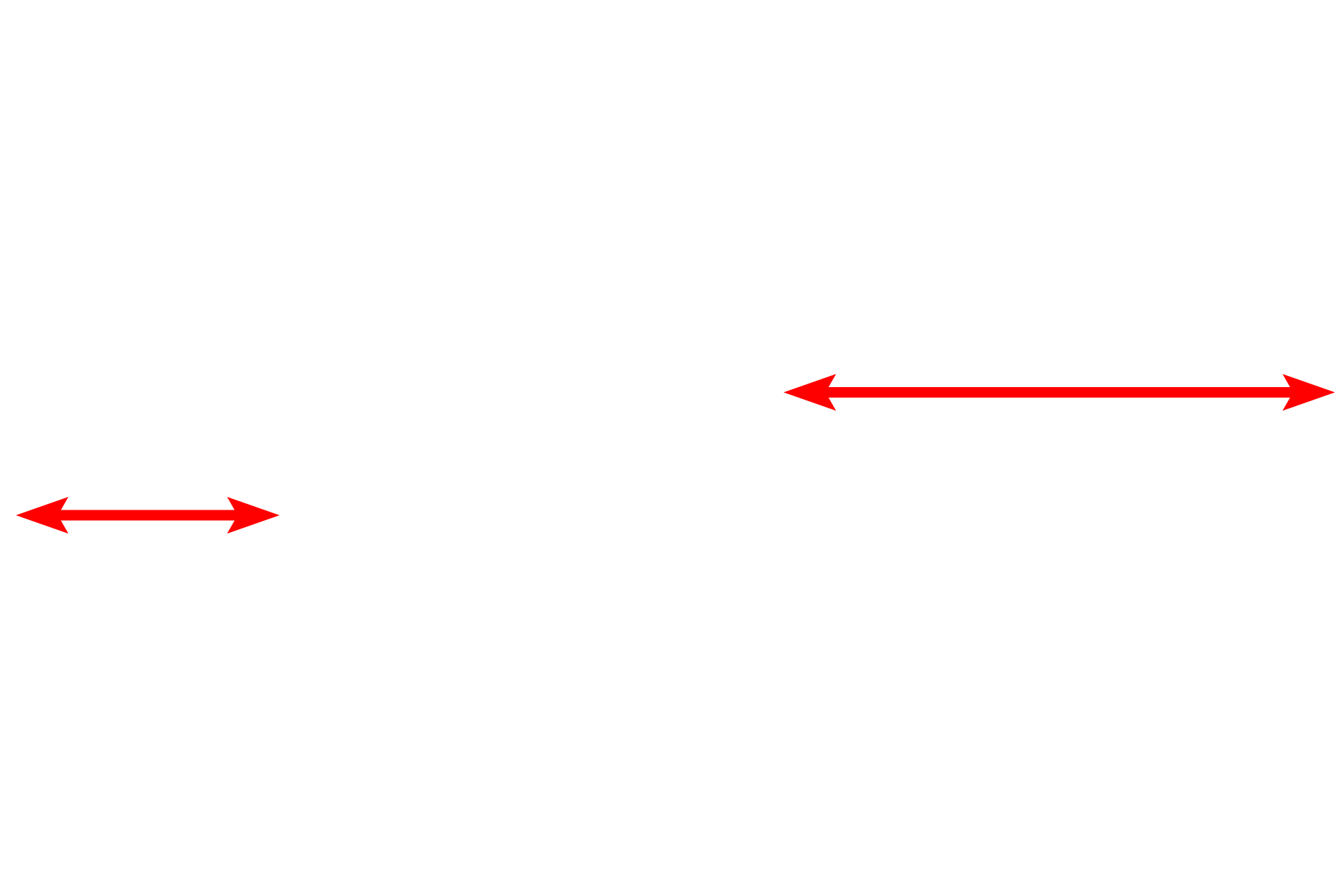 Interalveolar septa <p>The interalveolar septum is seen by light microscopy (left) and electron microscopy (right). Alveolar capillaries, supplied by the pulmonary artery, protrude from the interalveolar septum into the lumen of the alveolus, thus maximizing the surface area across which gas exchange can occur.  1500x, 4000x</p>
