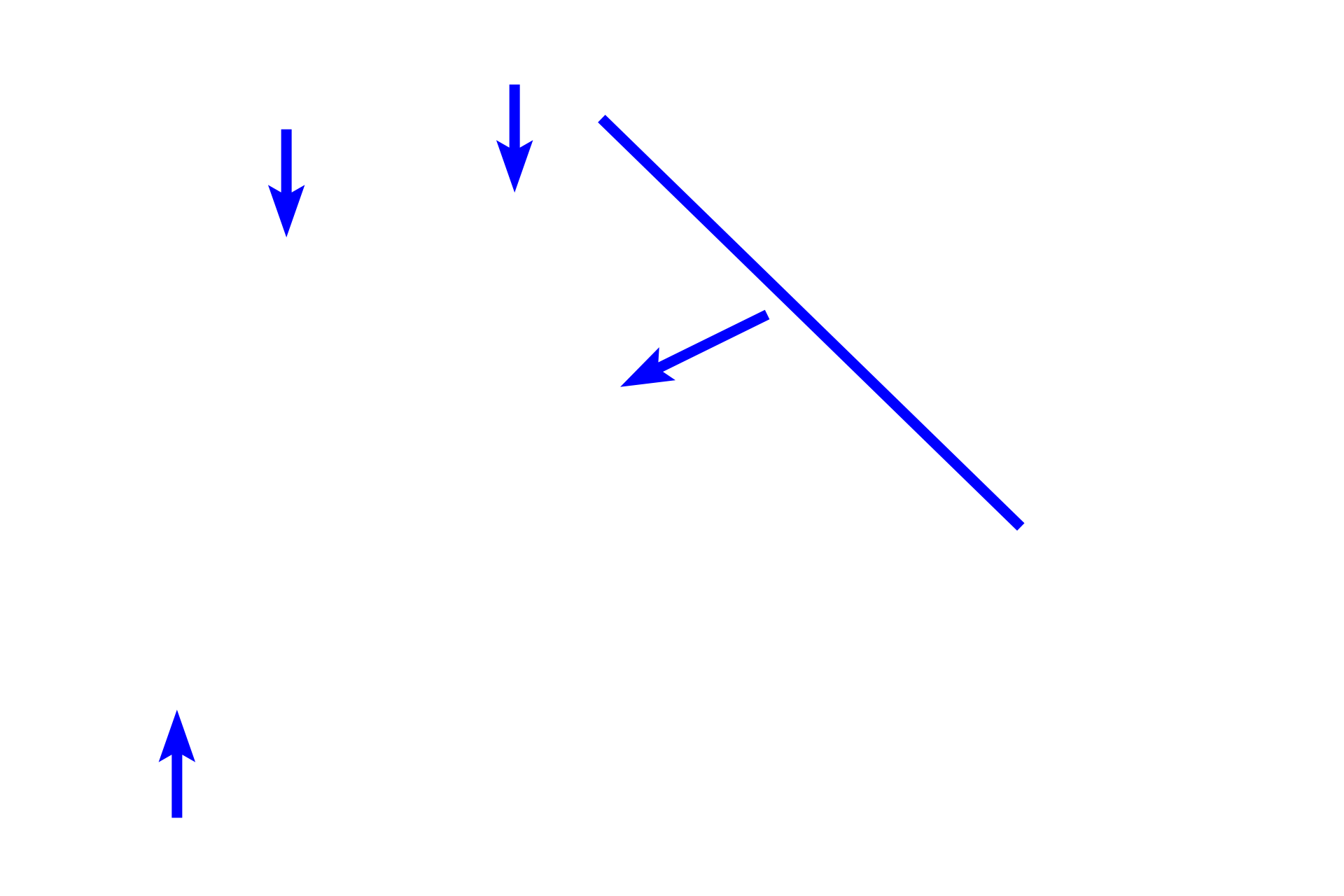  - Cartilage plates <p>The smallest bronchi transition to bronchioles. Bronchioles differ from bronchi in that they lack glands and cartilage plates. As they decrease in size, the ciliated epithelium changes from pseudostratified to columnar to cuboidal and goblet cell numbers are reduced. Like bronchi, bronchioles are intrapulmonary, conducting passageways.  100x</p>
