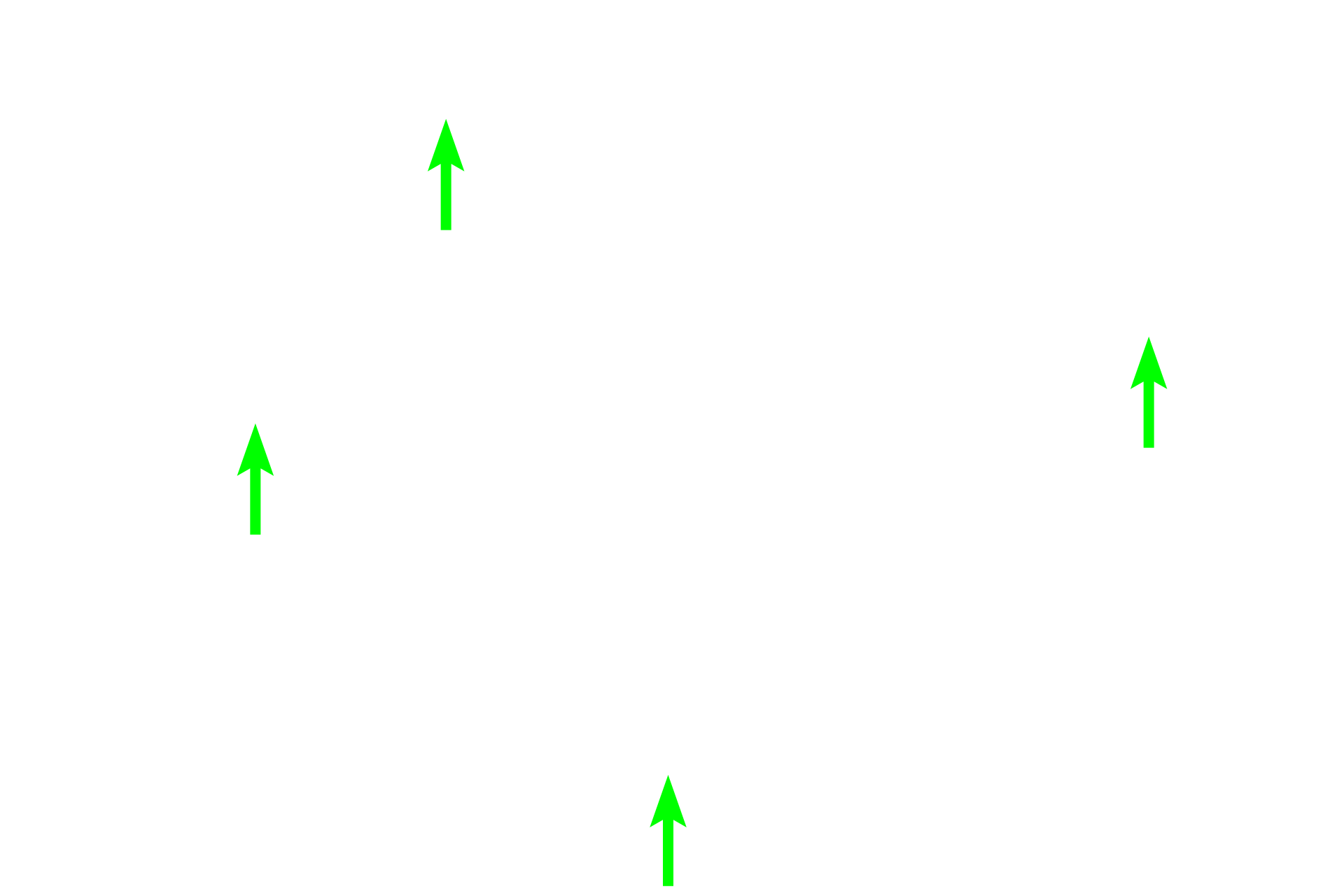 Smooth muscle > <p>Smooth muscle forms the primary support for the bronchiole wall, where is forms the largest percentage of the wall thickness among respiratory passageways. Contraction of the smooth muscle regulates the diameter of the bronchiole; abnormal broncho-constriction, induced by allergens or inflammation, produces asthma.</p>
