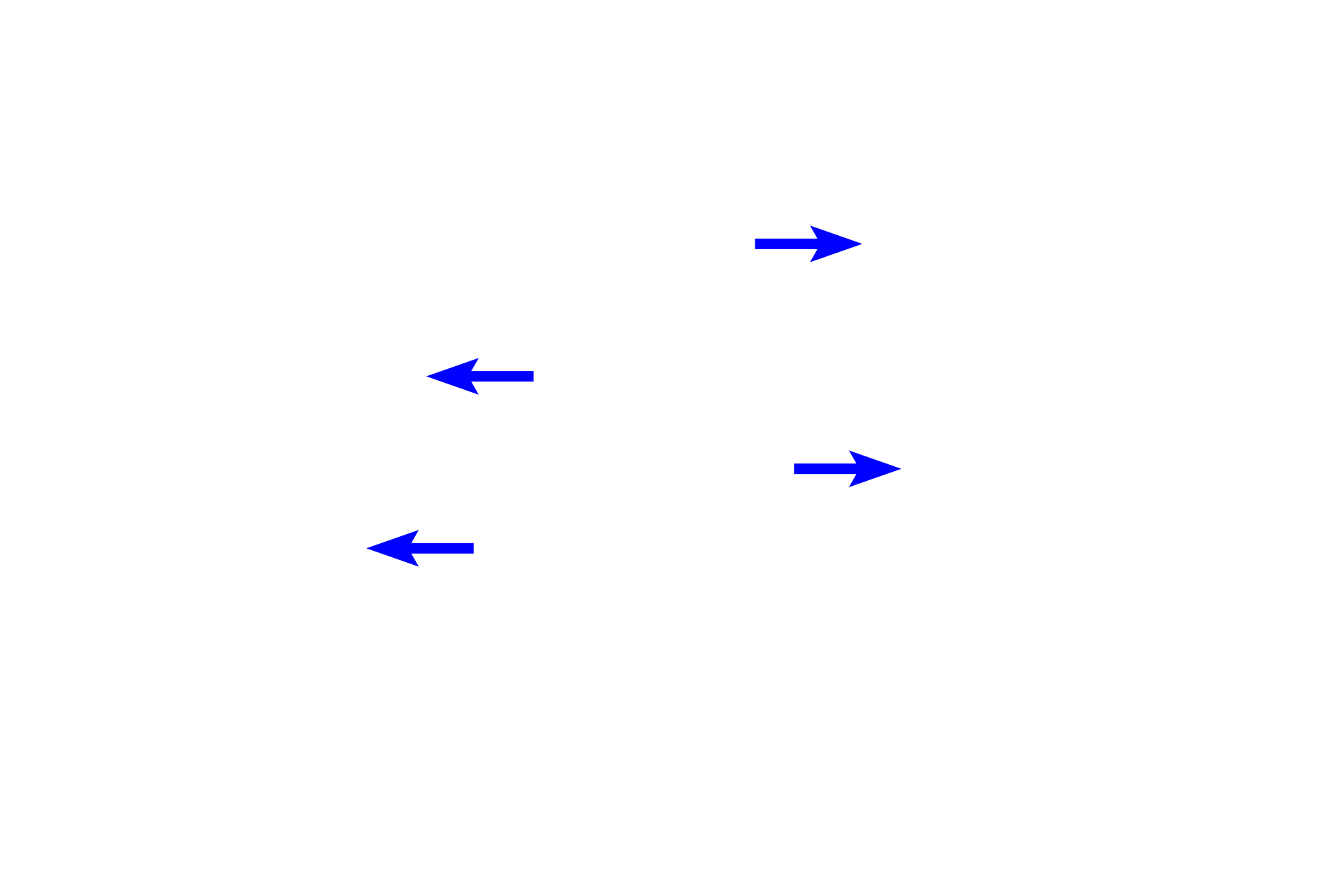 Club cells <p>As bronchioles continue to decrease in diameter they transition to the smallest conducting bronchioles, called terminal bronchioles. Their simple cuboidal epithelium has reduced cilia and lacks goblet cells. Another secretory cell type, club cells, first appears in terminal bronchioles and continues into respiratory bronchioles. Club cells often bulge into the lumen. The terminal bronchiole is surrounded by alveoli and lies adjacent to a pulmonary artery.  400x</p>
