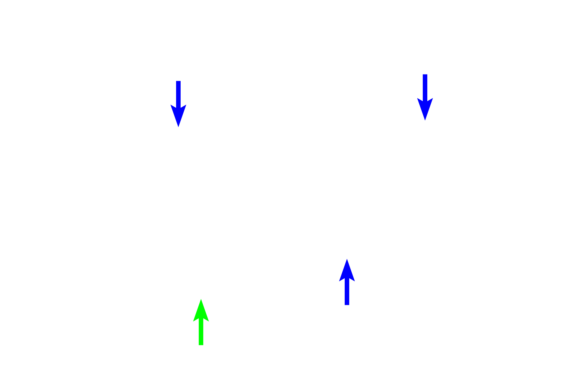 Smooth muscle <p>As bronchioles continue to decrease in diameter they transition to the smallest conducting bronchioles, called terminal bronchioles. Their simple cuboidal epithelium has reduced cilia and lacks goblet cells. Another secretory cell type, club cells, first appears in terminal bronchioles and continues into respiratory bronchioles. Club cells often bulge into the lumen. The terminal bronchiole is surrounded by alveoli and lies adjacent to a pulmonary artery.  400x</p>
