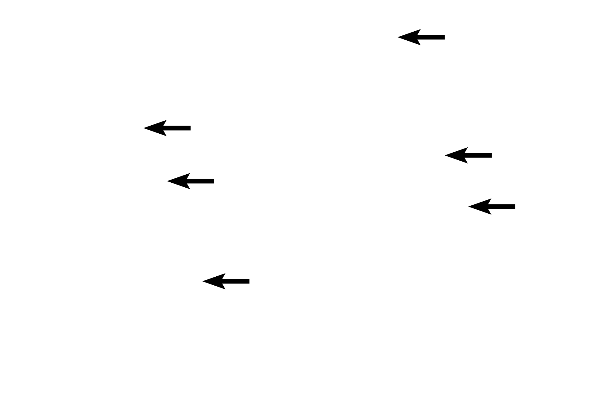 Club cells <p>Club cells first appear in the terminal bronchiole and continue in respiratory bronchioles. They are not ciliated and their apical ends bulge into the lumen of the airway. They protect the epithelium by degrading inhaled toxins and secreting a lipoprotein that prevents luminal adhesion. Club cells also serve as progenitors for themselves and ciliated cells.  600x</p>
