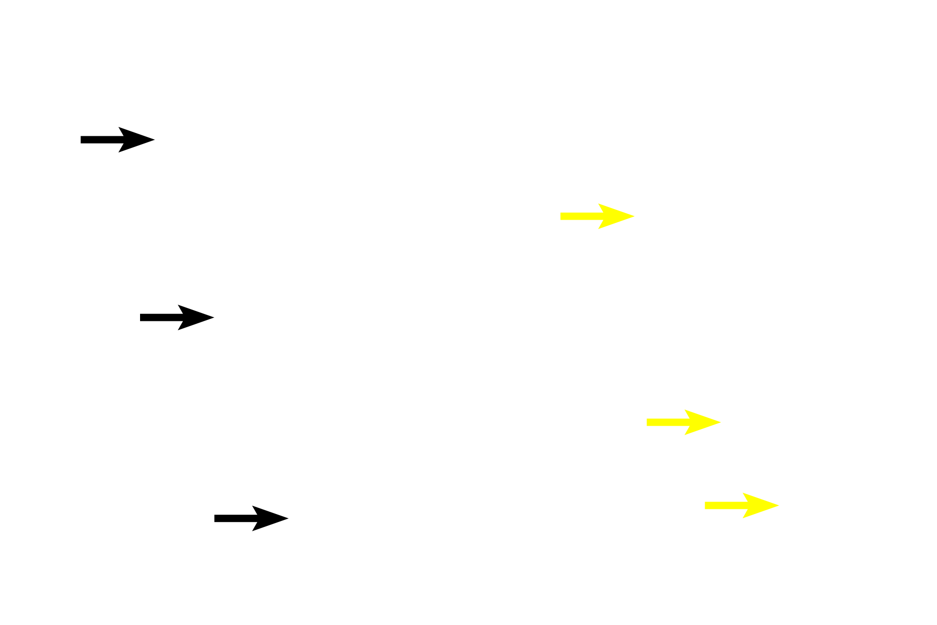 Ciliated cells <p>Club cells first appear in the terminal bronchiole and continue in respiratory bronchioles. They are not ciliated and their apical ends bulge into the lumen of the airway. They protect the epithelium by degrading inhaled toxins and secreting a lipoprotein that prevents luminal adhesion. Club cells also serve as progenitors for themselves and ciliated cells.  600x</p>
