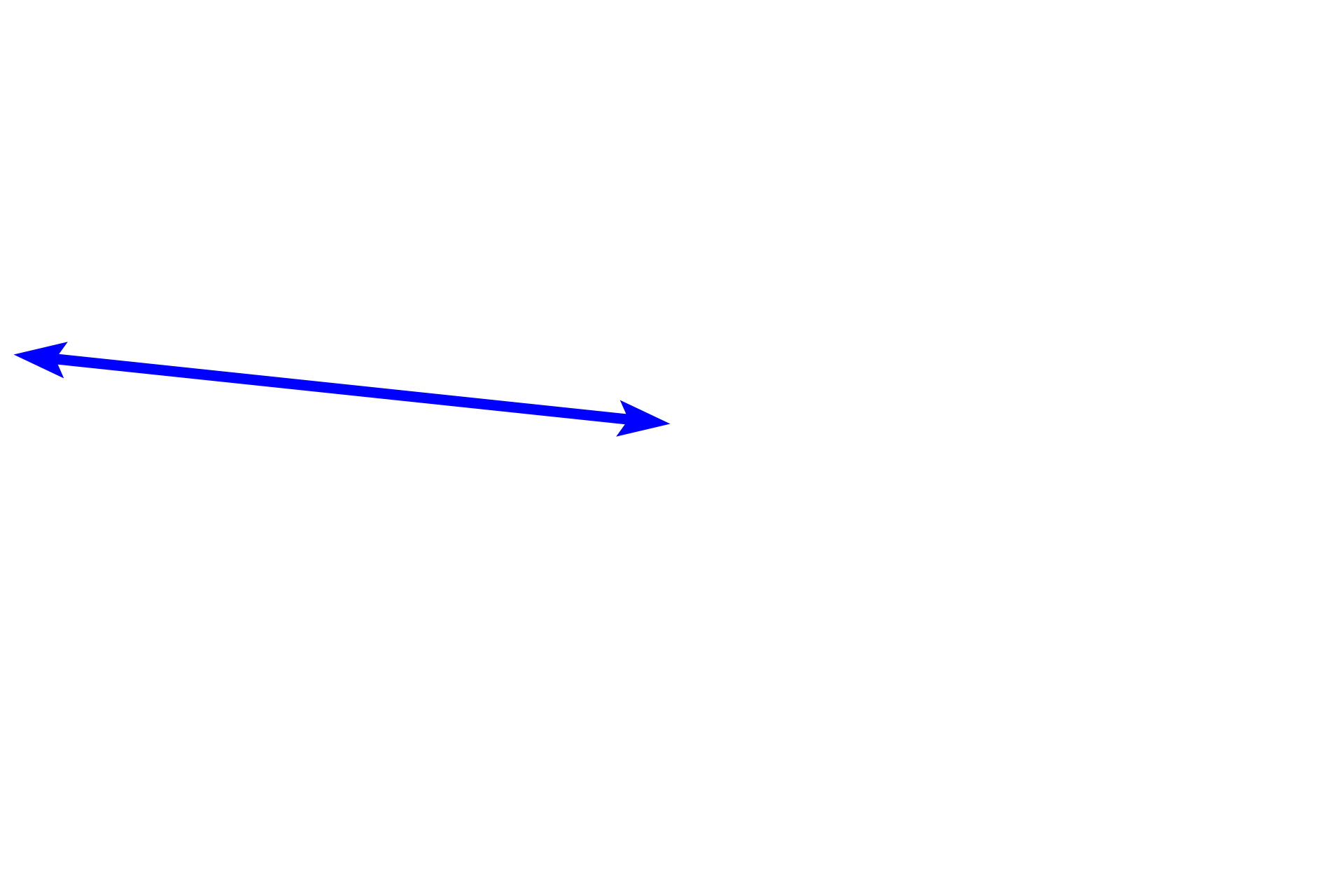 Bronchus <p>This longitudinal section shows a respiratory passageway transitioning from a bronchus (left of the line) to a bronchiole (right of the line). Both are lined by a pseudostratified columnar epithelium with cilia and goblet cells, and their mucosae contain smooth muscle. Cartilage and glands are not present in the bronchiole, a features that serve to readily distinguish these passageways. 100x</p>
