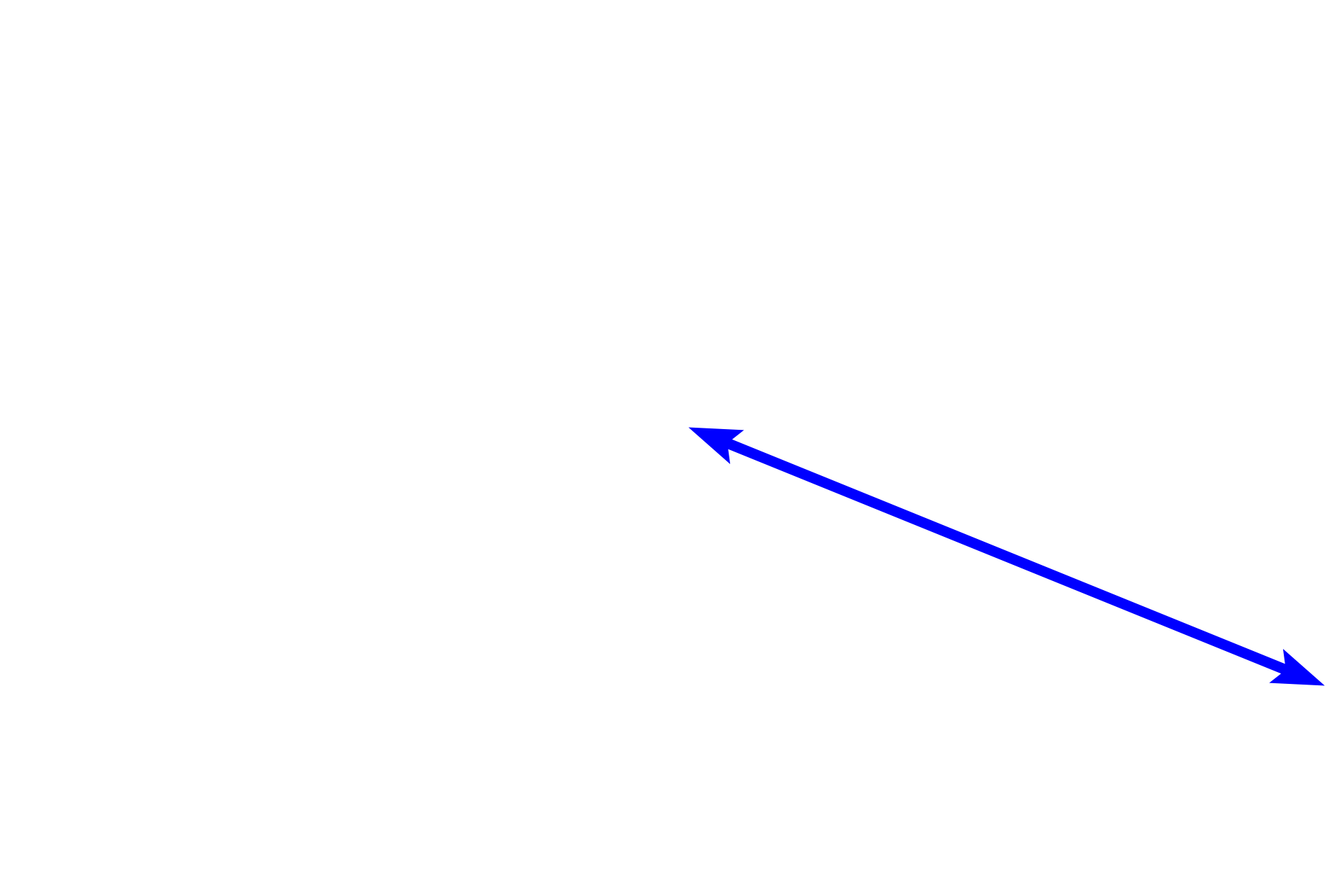 Bronchiole <p>This longitudinal section shows a respiratory passageway transitioning from a bronchus (left of the line) to a bronchiole (right of the line). Both are lined by a pseudostratified columnar epithelium with cilia and goblet cells, and their mucosae contain smooth muscle. Cartilage and glands are not present in the bronchiole, a features that serve to readily distinguish these passageways. 100x</p>
