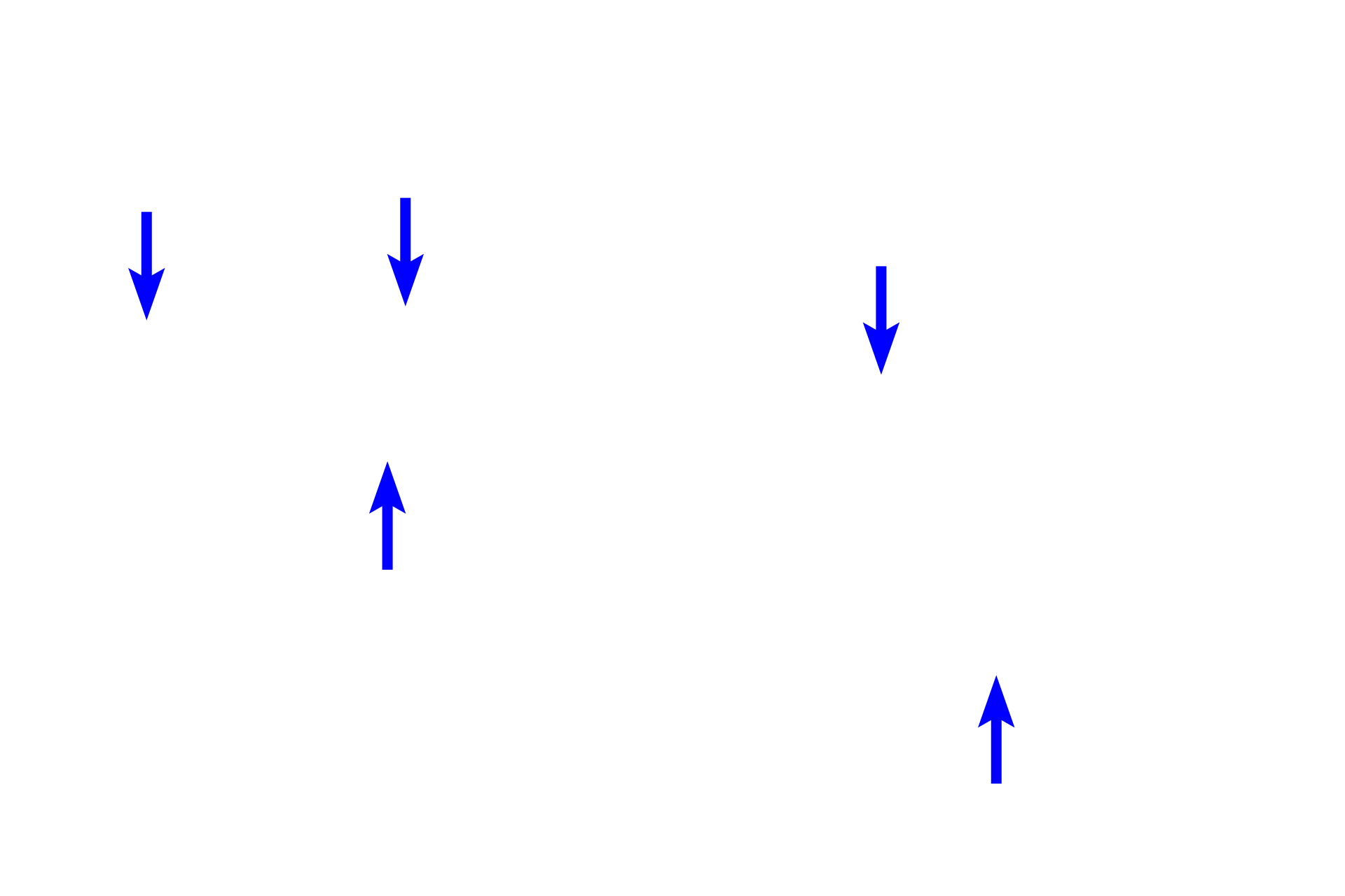 Smooth muscle <p>This longitudinal section shows a respiratory passageway transitioning from a bronchus (left of the line) to a bronchiole (right of the line). Both are lined by a pseudostratified columnar epithelium with cilia and goblet cells, and their mucosae contain smooth muscle. Cartilage and glands are not present in the bronchiole, a features that serve to readily distinguish these passageways. 100x</p>
