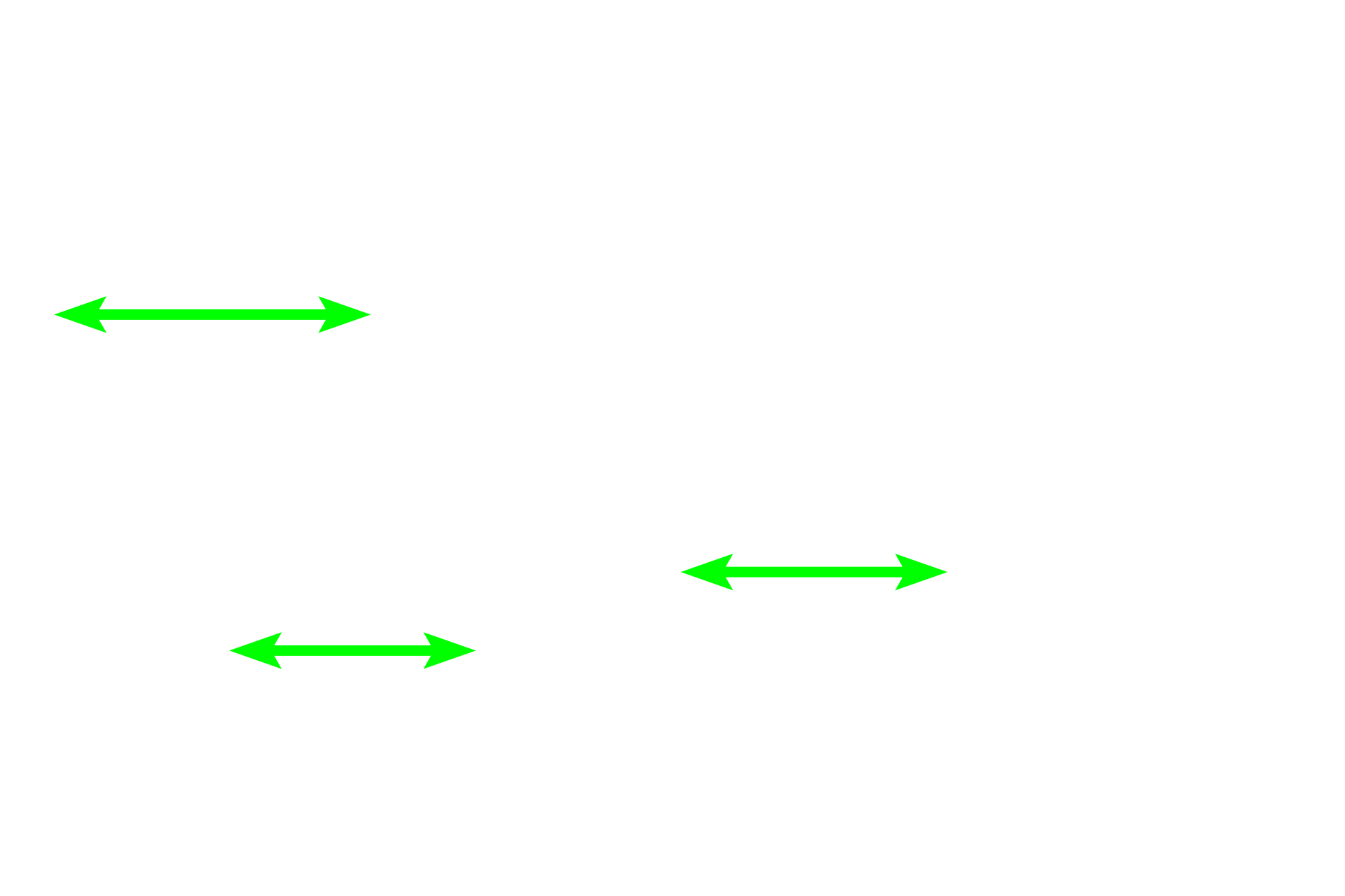  - Capillaries <p>The interalveolar septum is the wall between adjacent alveoli. It is lined by a simple squamous epithelium of Type I cells and cuboidal Type II cells (septal cells). The connective tissue core of the septum possesses connective tissue cells and reticular and elastic fibers. Numerous capillaries protrude from the septa into alveolar spaces to facilitate gas exchange. The alveolus is coated by a thin film of surfactant that prevents the alveolus from collapsing.</p>
