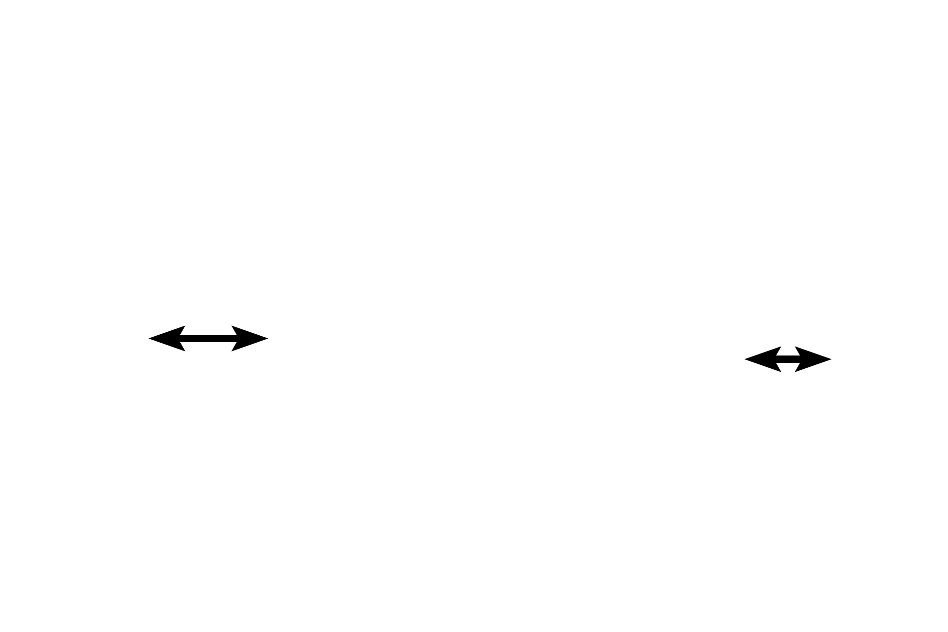 Interalveolar septa <p>This alveolus is associated with an alveolar duct and thus the tips of the interalveolar septa possess smooth muscle knobs</p>
