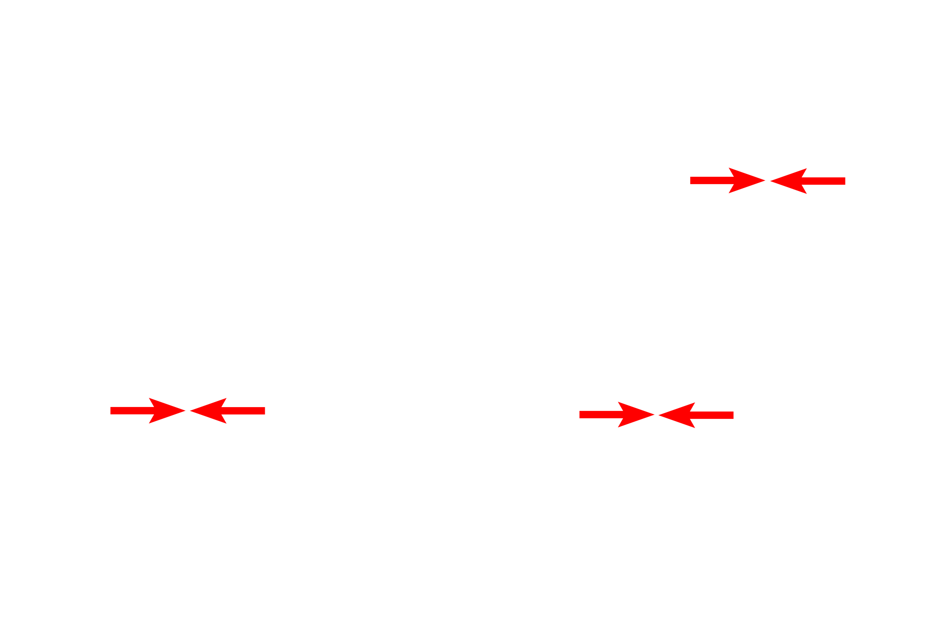 Air-blood barrier <p>This image shows another alveolus attached to an alveolar duct, as indicated by the presence of smooth muscle knobs. Note the large numbers of capillaries in the septum that bulge into the alveolar space. The alveolus is lined by a thin epithelium of Type I cells which, along with the endothelium of the capillaries, form the air-blood barrier.  Toluidine blue, 1000x</p>
