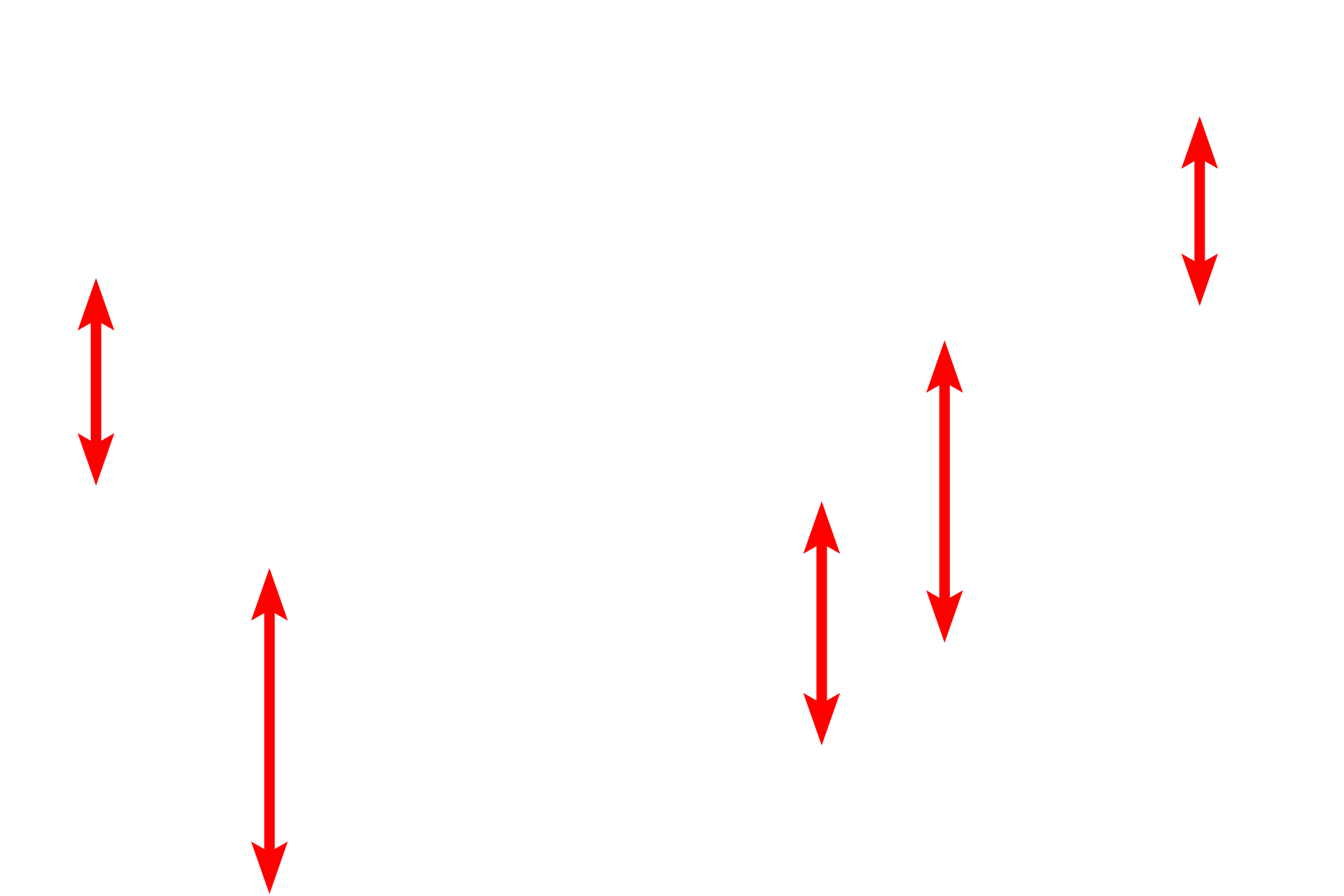  - Capillaries > <p>Capillaries form 80% of the wall of the alveolus and are supplied with deoxygenated blood by branches of pulmonary arteries. After oxygenation, blood is returned by the pulmonary venous system. The air-blood barrier consists of a simple squamous epithelium (type I) lining the alveolus and a simple squamous epithelium (endothelium) lining the capillary, along with their fused basal laminae.</p>
