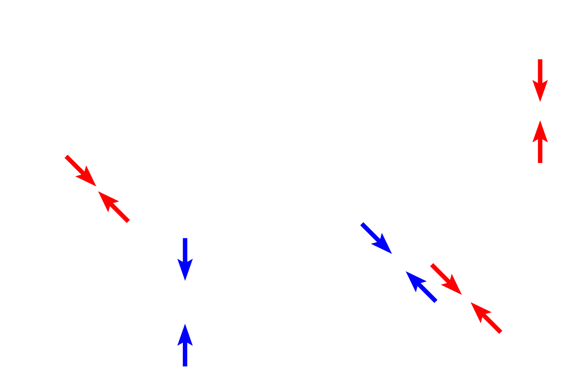 Air-blood barrier > <p>The tissue separating the blood from inspired air forms the air-blood barrier and has two portions, thin (red arrows) and thick (blue arrows). Most of the gas exchange occurs in the thin portions, which consists of the endothelium, type I cell and their fused basal laminae. Thick portions, which contain intervening connective tissue cells and fibers, provide support and fluid clearance.  </p>
