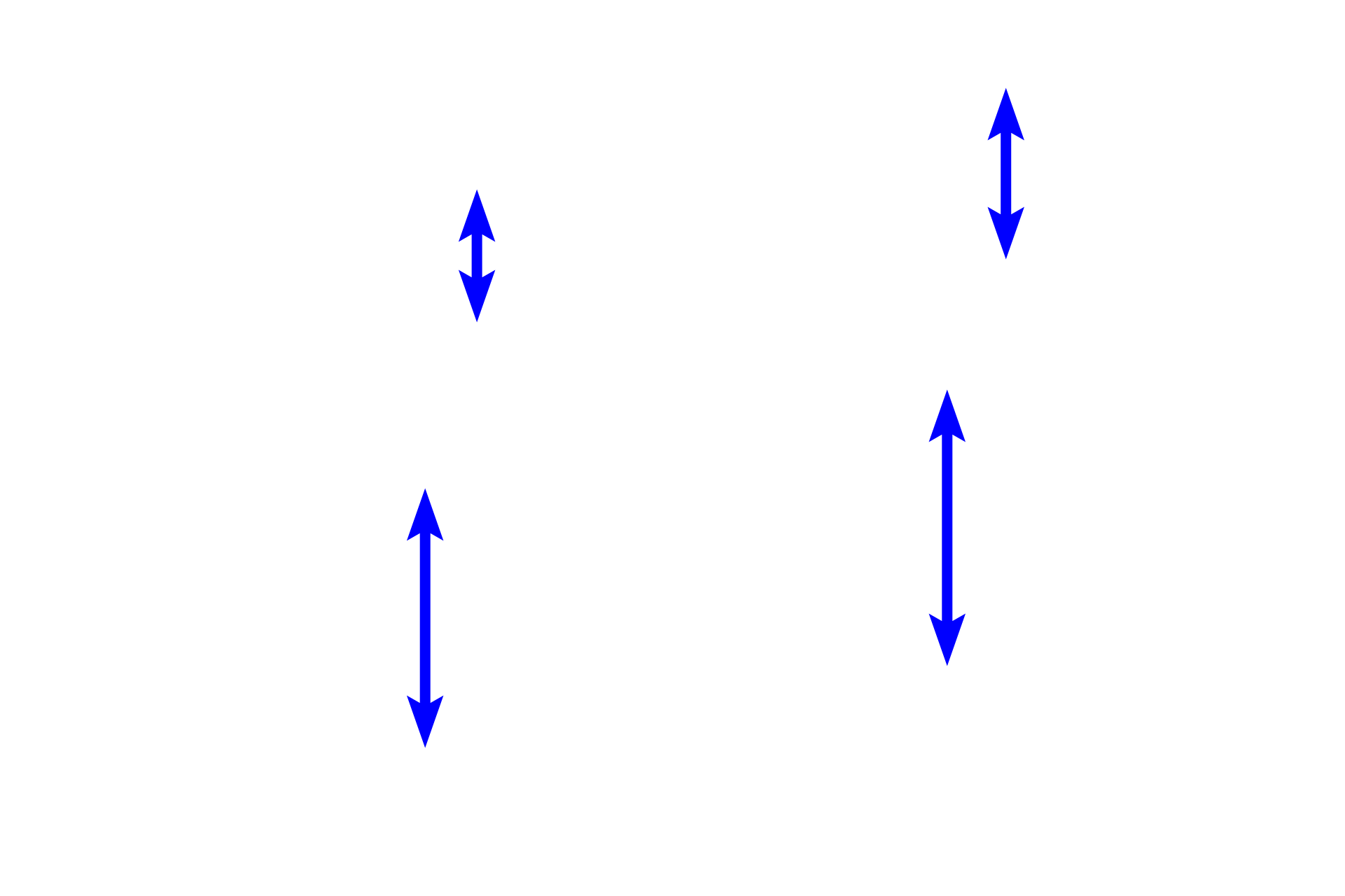 Alveolar ducts <p>Two alveolar ducts are seen ending in alveolar sacs, the terminal components of the respiratory system. Alveolar sacs are formed by alveoli clustered around a central space.  100x</p>
