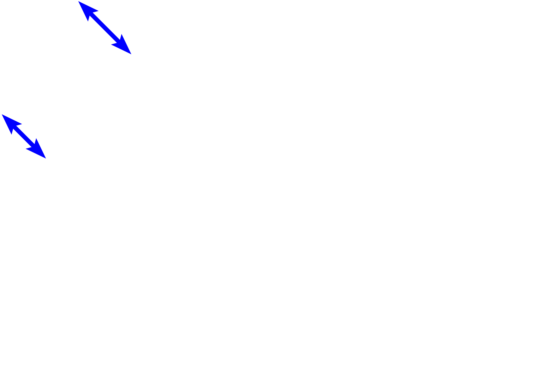 Respiratory bronchiole <p>Two alveolar ducts are seen ending in alveolar sacs, the terminal components of the respiratory system. Alveolar sacs are formed by alveoli clustered around a central space.  100x</p>
