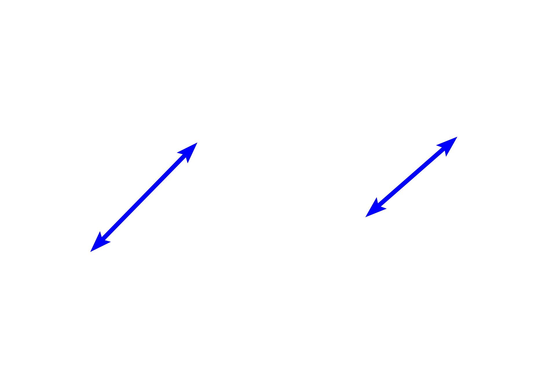 Alveolar sacs <p>Alveolar sacs form the terminal components of the respiratory system and consist of alveoli clustered around a central space, sometimes referred to as an atrium. Interalveolar septa in alveolar sacs generally lack smooth muscle knobs.  200x</p>
