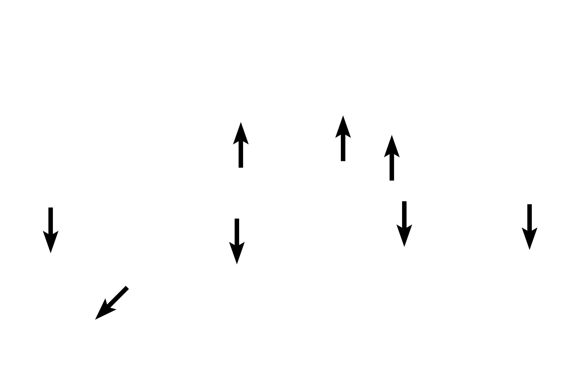 Associated alveoli > <p>These alveoli are components of the wall of the respiratory bronchiole. The lumen of the bronchiole is continuous with that of the alveoli.</p>
