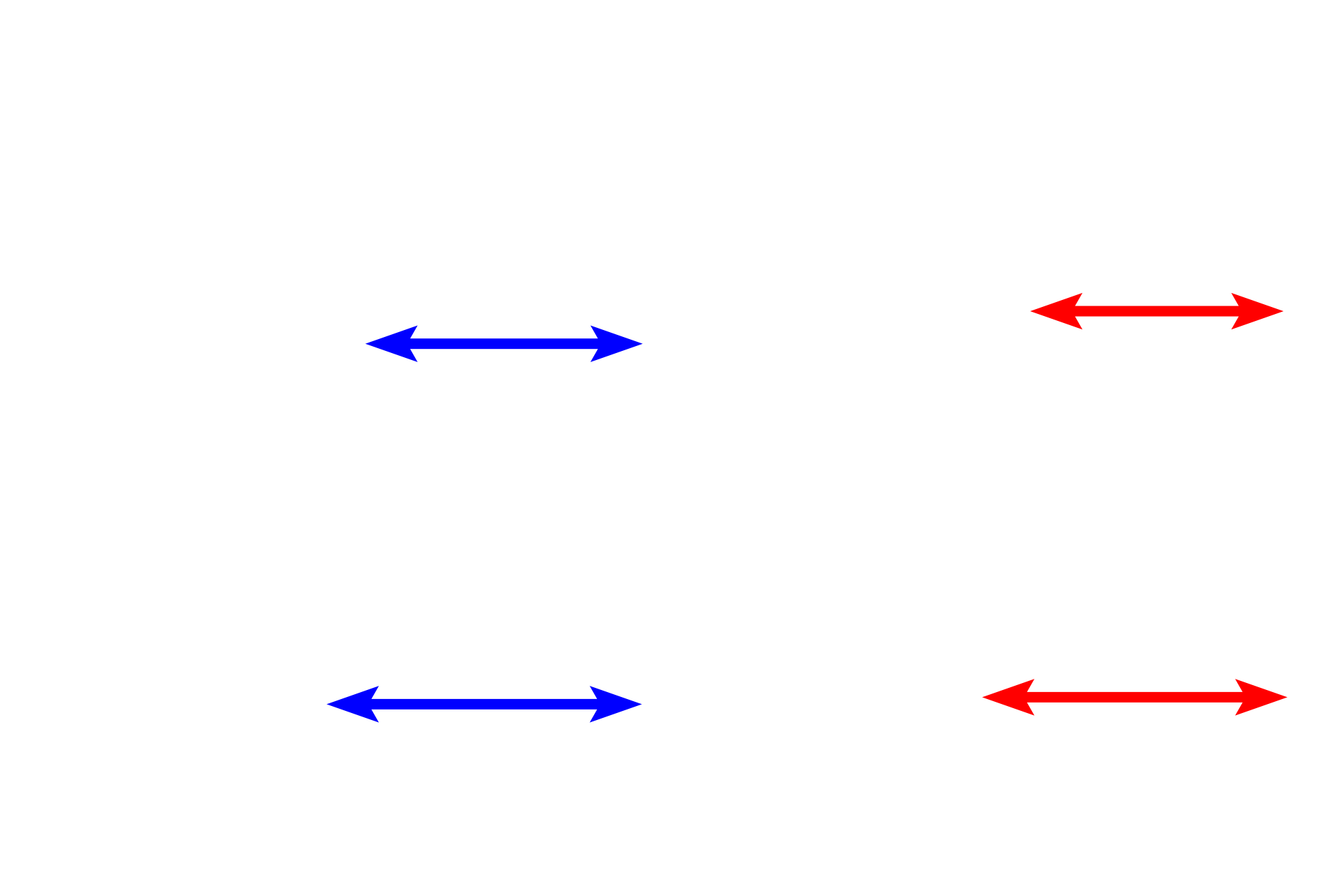  - Connective tissue layer <p>Pleura is composed of a simple squamous epithelium (mesothelium) overlying a layer of connective tissue that contains blood vessels and elastic fibers. </p>
