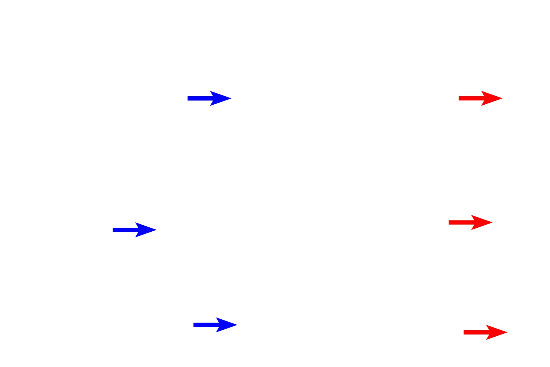  -- Elastic fibers <p>Pleura is composed of a simple squamous epithelium (mesothelium) overlying a layer of connective tissue that contains blood vessels and elastic fibers. </p>
