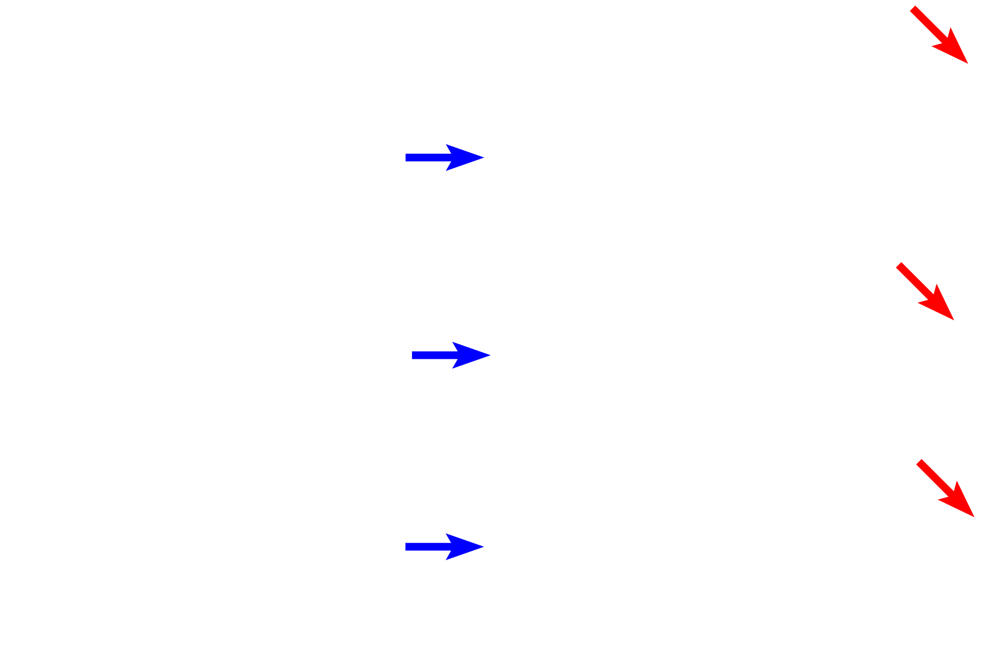 Pleural space >  <p>The visceral and parietal pleura are closely apposed to each other with a potential fluid-filled space (pleural space or pleural cavity) between them.  </p>
