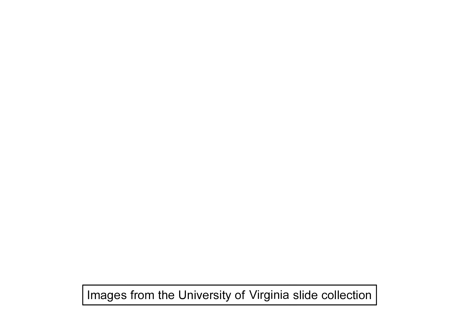 Image source > <p>These images were taken of slide in the University of Virginia collection.</p>
