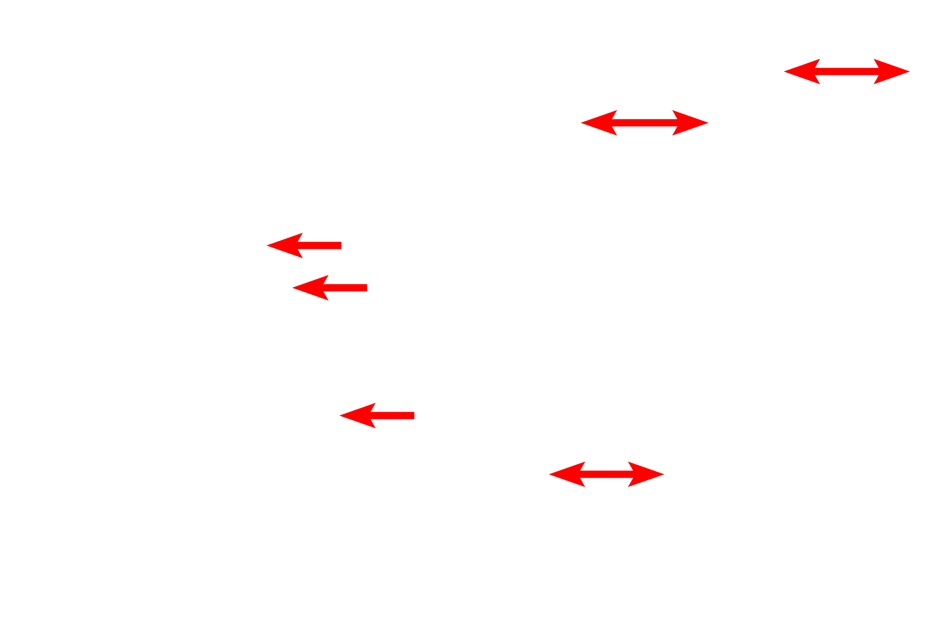 Lipid droplets <p>Osmium tetroxide is both a stain and a fixative for lipid, a chemical reaction that produces a brown color visible by light microscopy. Lipid can be distributed as small, cytoplasmic droplets (left) or a single large droplet that nearly fills the cell (right). This latter distribution occurs in adipocytes, which are specialized fat storage cells. The use of osmium to preserve lipids for electron microscopy, provides electron density to tissues. Toluidine blue stain, 1000x, 1000x </p>
