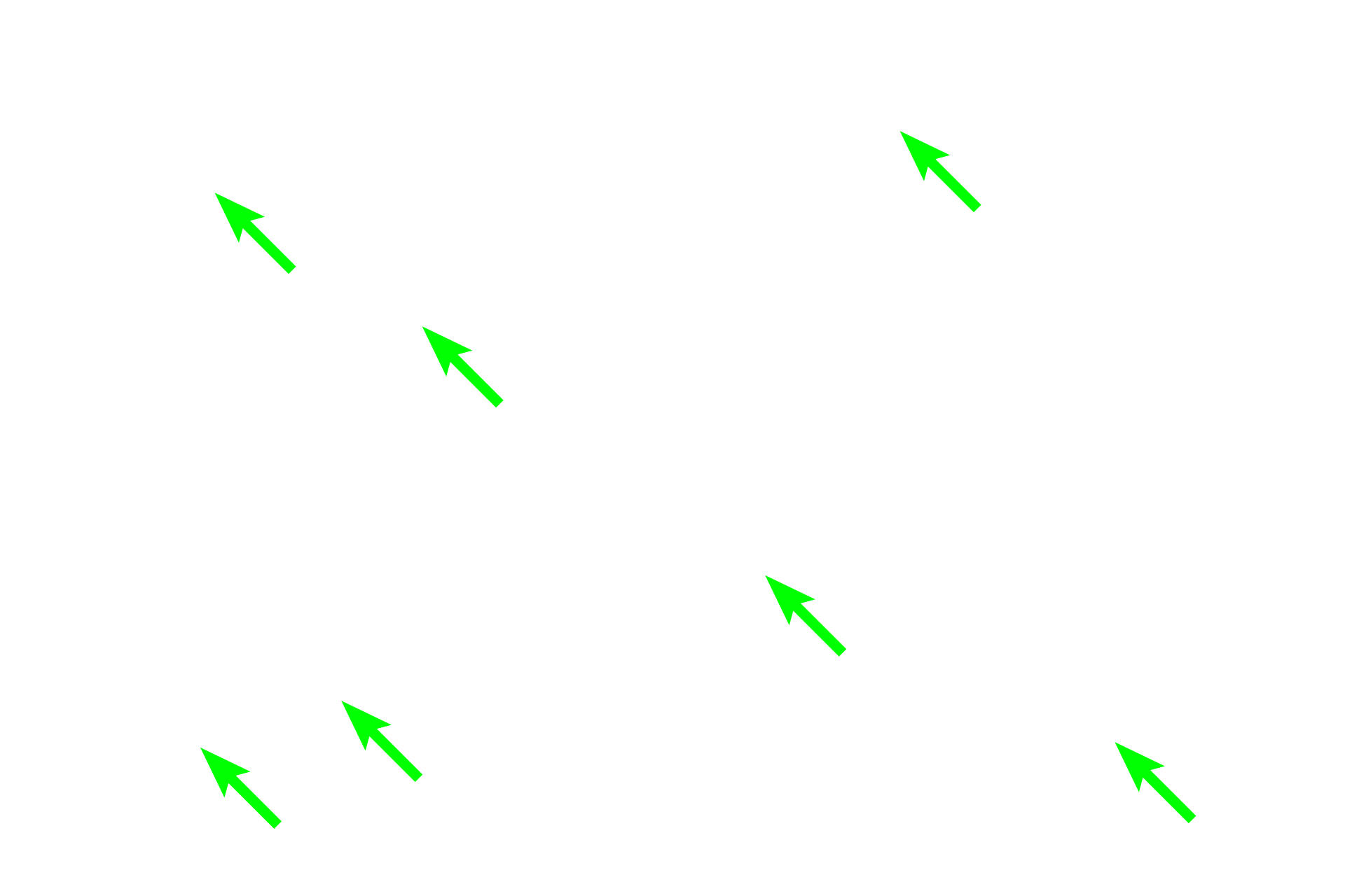 Collagen fibers <p>Elastin stains, such as Verhoeff’s-van Gieson, are used to specifically reveal elastic fibers and sheets. The specificity of the stain is due to the unique chemical properties of elastin, a major protein component of elastic fibers and sheets and results in a black or brown-colored stain. Elastin stains clearly distinguish elastic fibers from collagen fibers, both of which stain with eosin.  Connective tissue, 400x (l); Muscular artery, 200x (r)</p>
