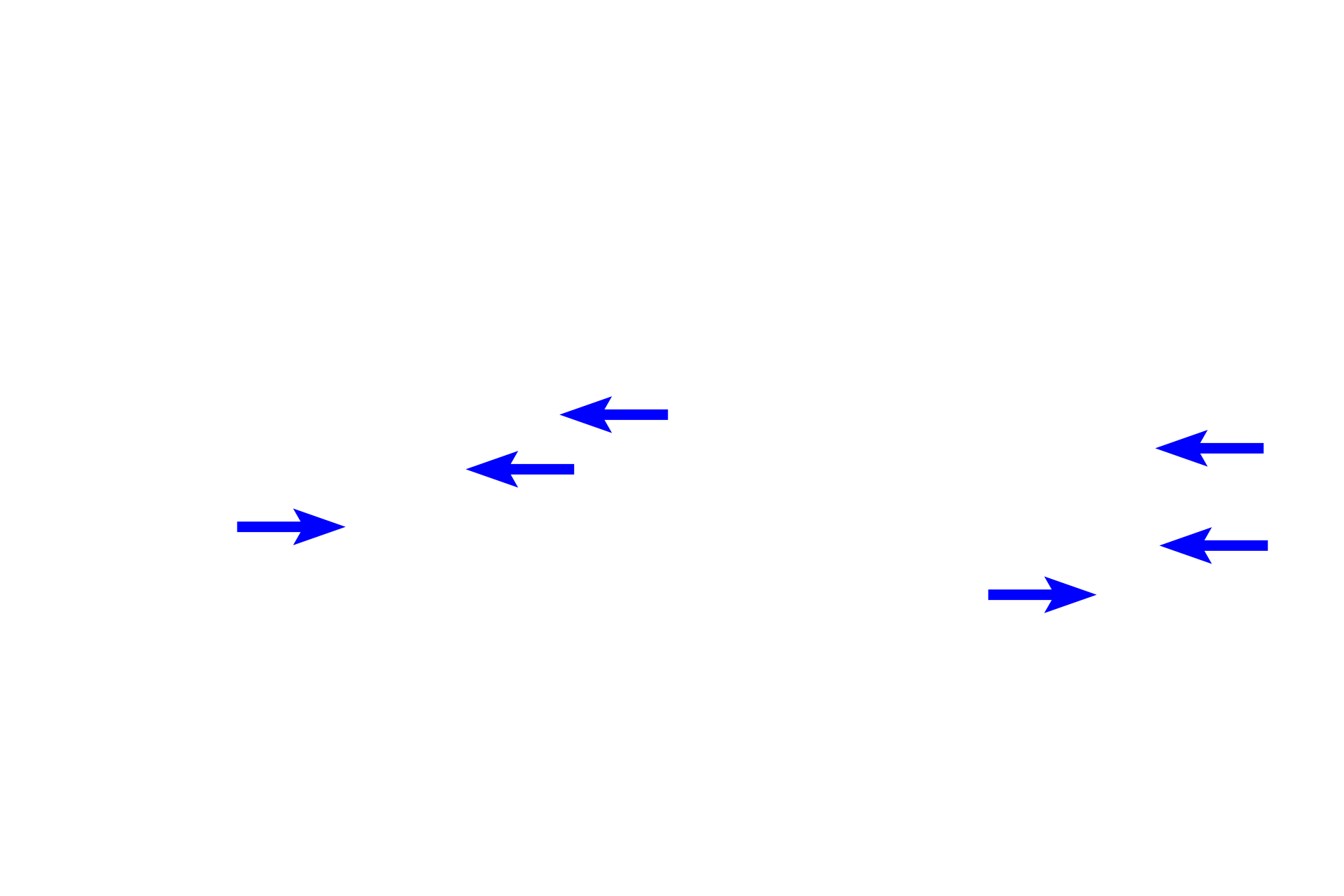 Mitotic spindle > <p>Microtubules of the spindle apparatus extend from the diplosome of the centrosome and consists of three types. Kinetochore microtubules, attach to the kinetochore of the chromatids. Polar microtubules overlap with each in the center of the spindle, interacting with each other to push the spindle poles apart. Astral microtubules extend away from the spindle to provide anchorage for the spindle.</p>
