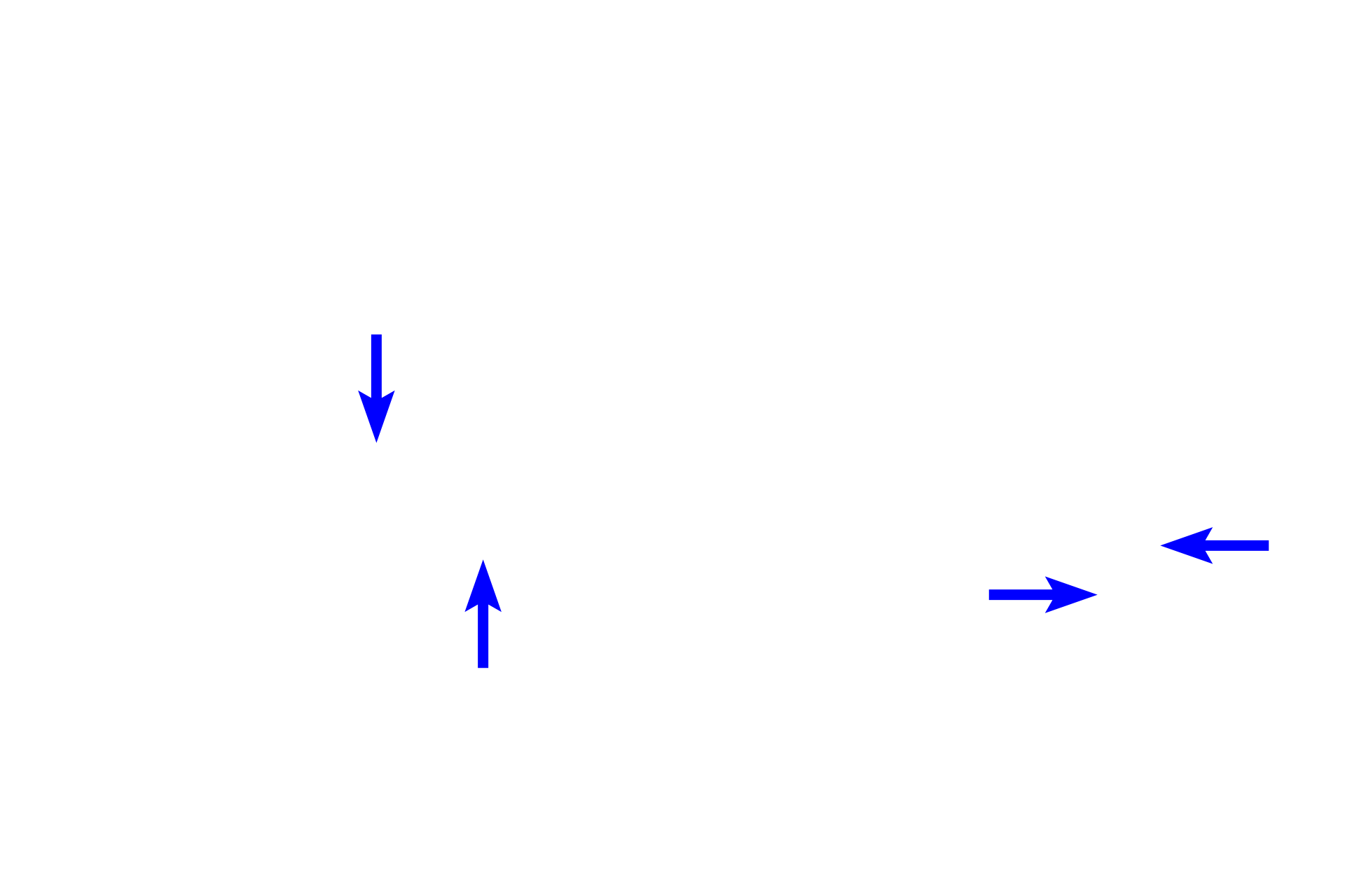  - Kinetochore microtubules <p>Microtubules of the spindle apparatus extend from the diplosome of the centrosome and consists of three types. Kinetochore microtubules, attach to the kinetochore of the chromatids. Polar microtubules overlap with each in the center of the spindle, interacting with each other to push the spindle poles apart. Astral microtubules extend away from the spindle to provide anchorage for the spindle.</p>
