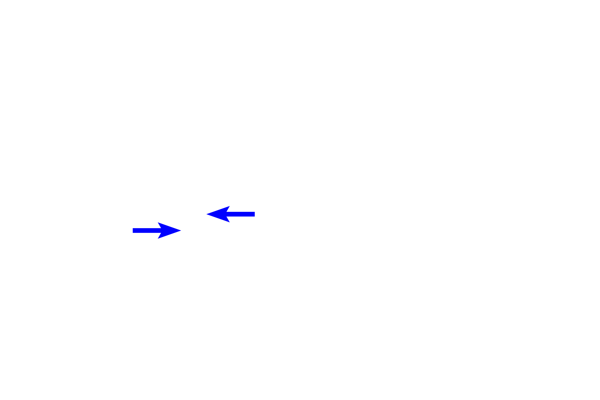  - Polar microtubules <p>Microtubules of the spindle apparatus extend from the diplosome of the centrosome and consists of three types. Kinetochore microtubules, attach to the kinetochore of the chromatids. Polar microtubules overlap with each in the center of the spindle, interacting with each other to push the spindle poles apart. Astral microtubules extend away from the spindle to provide anchorage for the spindle.</p>
