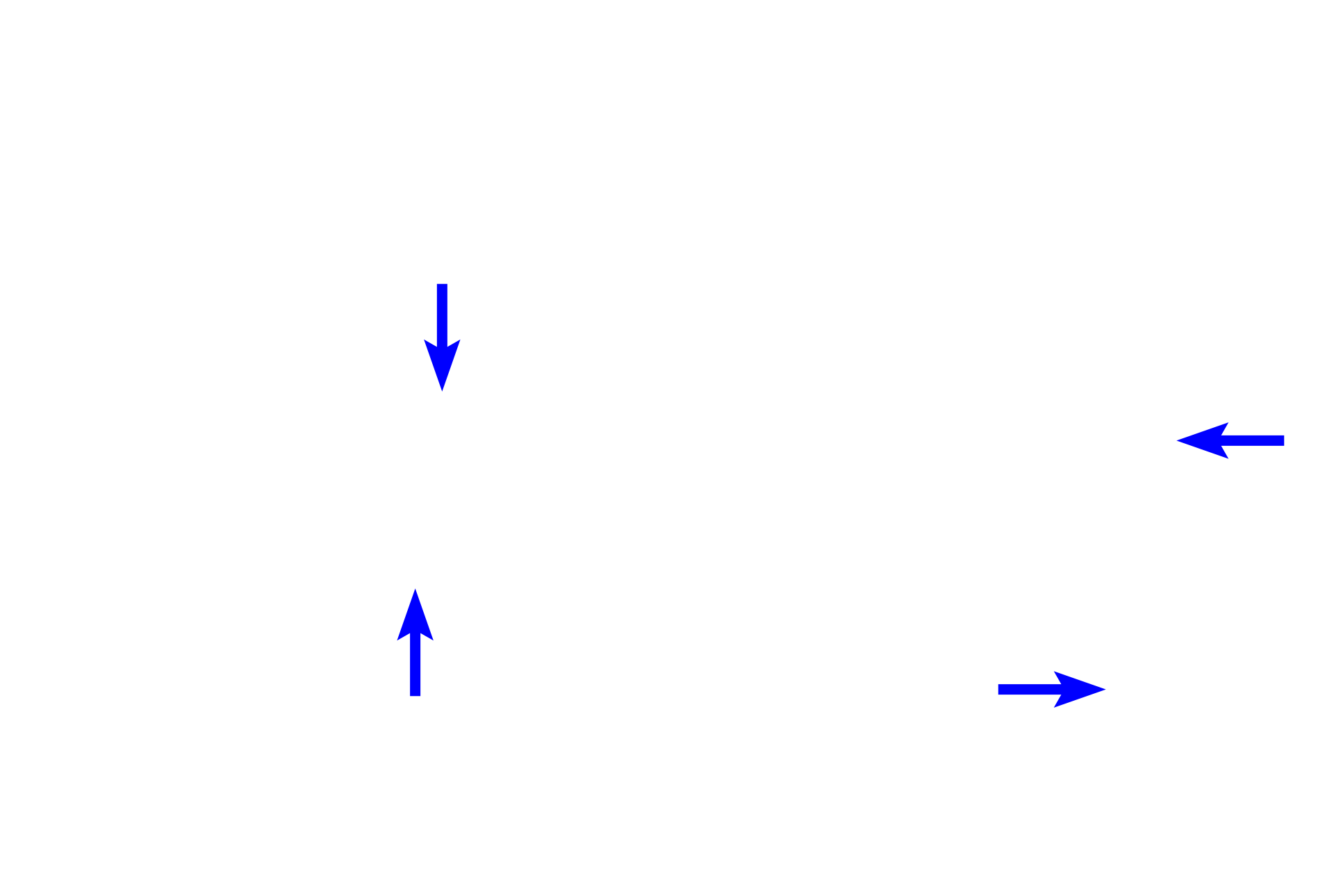  - Astral microtubules <p>Microtubules of the spindle apparatus extend from the diplosome of the centrosome and consists of three types. Kinetochore microtubules, attach to the kinetochore of the chromatids. Polar microtubules overlap with each in the center of the spindle, interacting with each other to push the spindle poles apart. Astral microtubules extend away from the spindle to provide anchorage for the spindle.</p>
