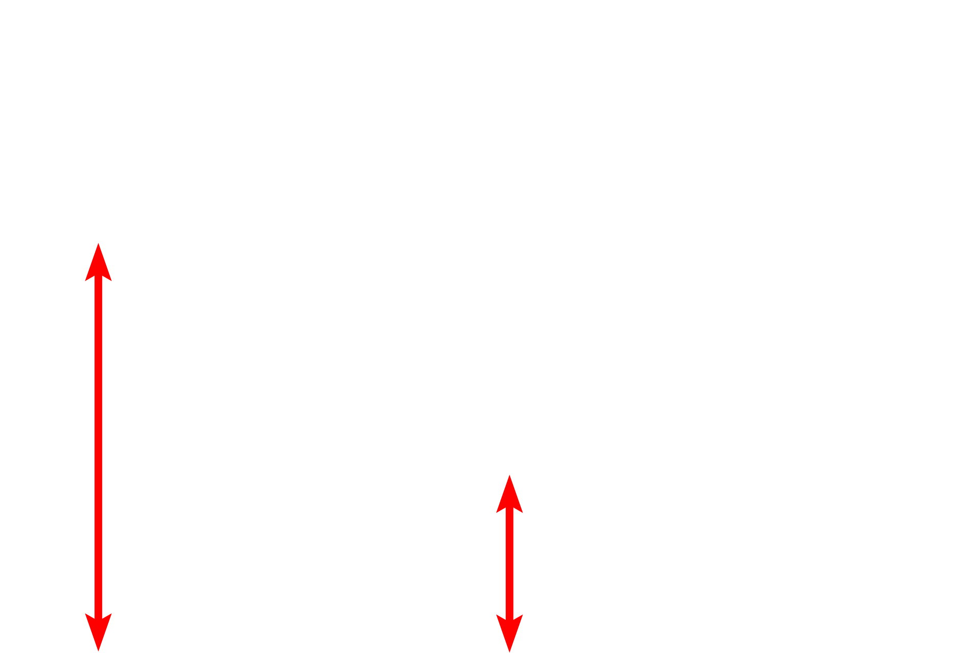 Nucleus <p>The MTOC or centrosome is often located near the nucleus, in close association with the Golgi apparatus. Radiating microtubules from the MTOC serve as tracks for trafficking Golgi-derived vesicles throughout the cell.  40,000x</p>
