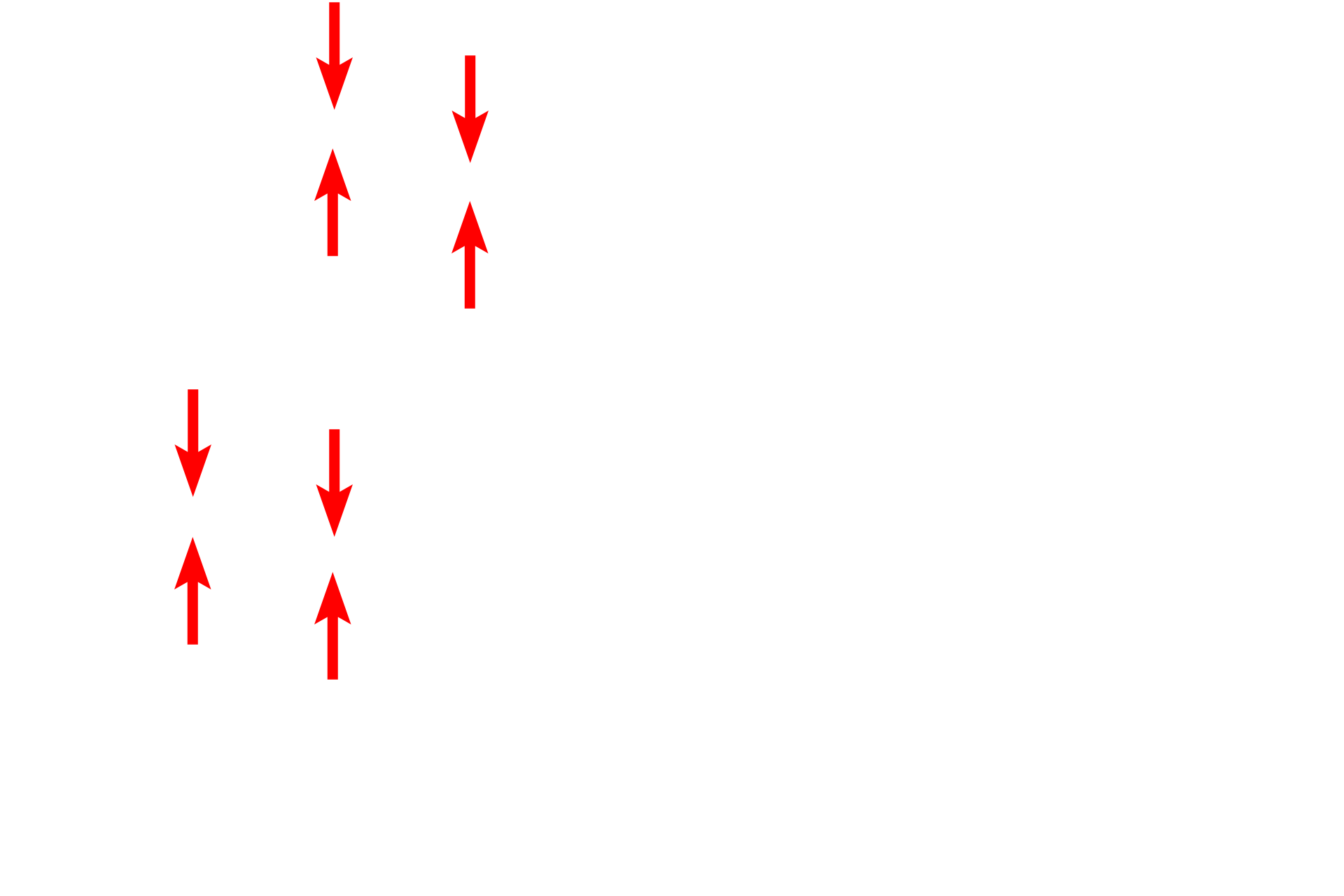 Microvilli <p>Microfilaments also form the core of microvilli, which are short, finger-like, non-motile extensions from the apical surface of epithelial cells. The bundles of microfilaments create a stiff mechanical support for each microvillus, allowing them to project outward without bending or collapsing. These microfilaments are further anchored into a network of microfilaments, called the terminal web, located beneath the plasma membrane at the apex of the cells. Microfilaments are composed of actin protein and are often referred to as actin filaments.  Small intestine  35,000x  </p>
