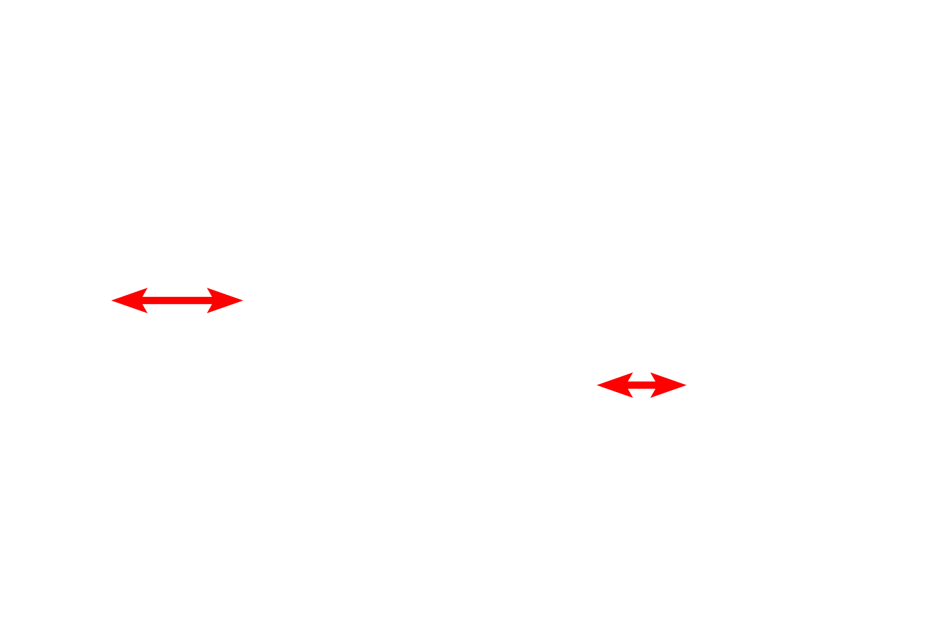 Nuclei <p>Intermediate filaments are 8-10 nm in diameter and occur singly or in bundles, as shown in this micrograph. Intermediate filaments primarily provide support for the cell and are biochemically and structurally diverse among different cell types. In this image of the epidermis, filaments, called tonofilaments, are particularly abundant and composed of the protein keratin.  Skin, 15,000x</p>
