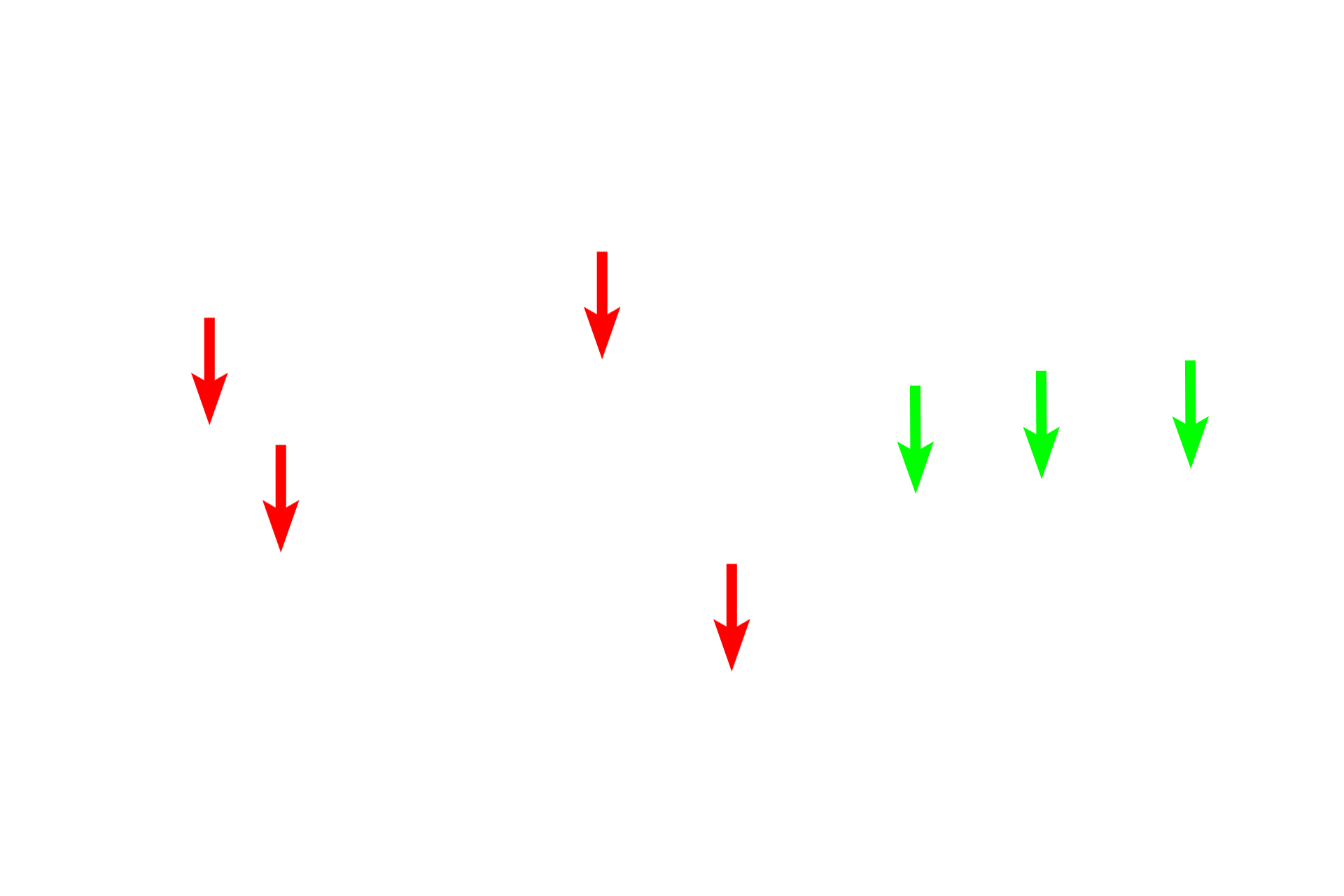Lipid leaflet > <p>The green arrows indicate the fractured margin of a leaflet.  </p>
