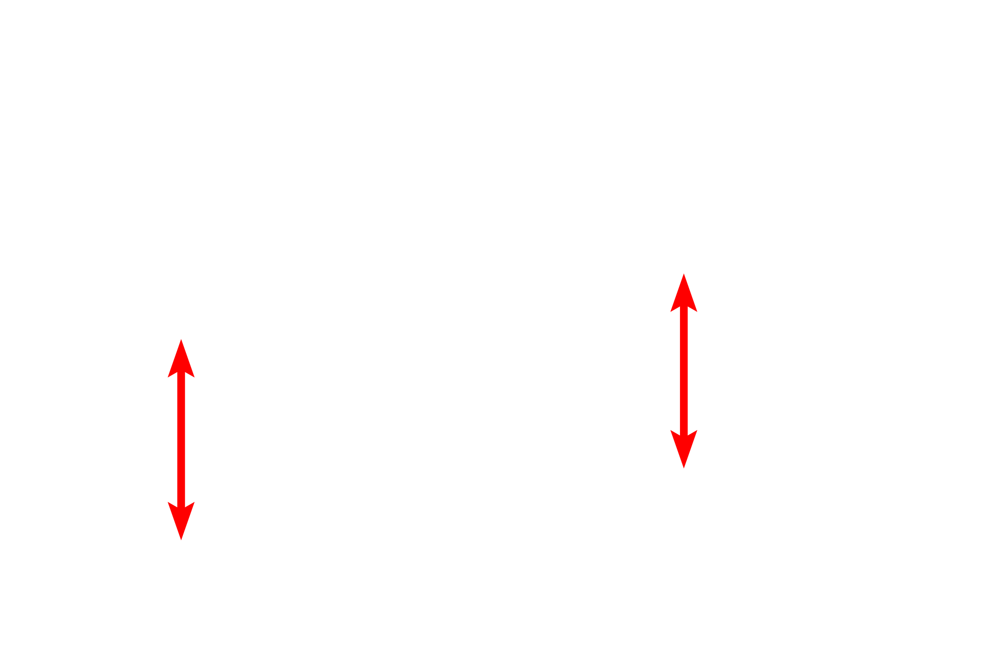 Cytoplasm <p>The plasma membrane is the membrane at the cell surface, enclosing the cytoplasm of the cell.</p>
