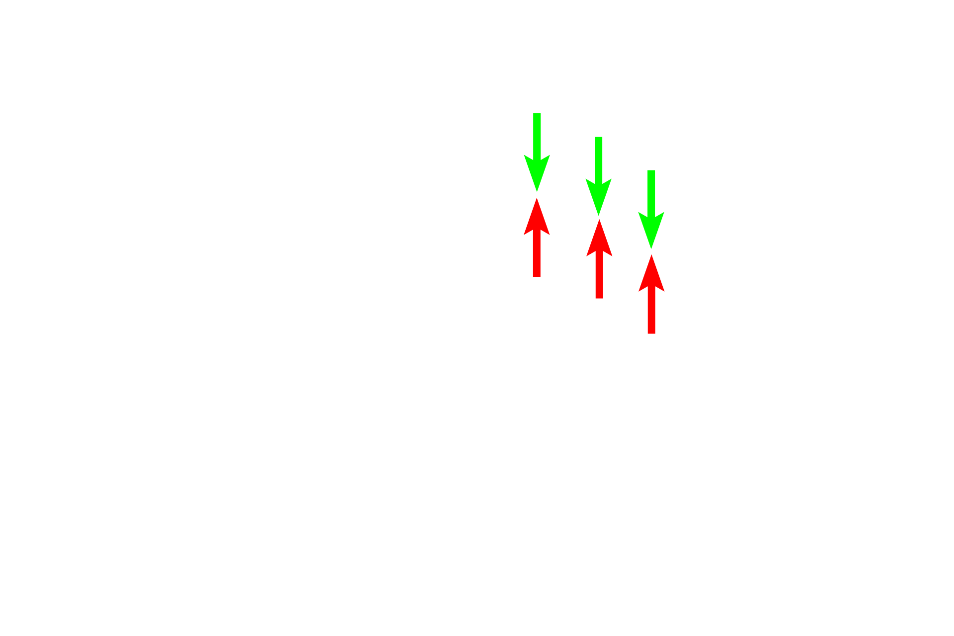 Nuclear envelope > <p>Two membranes surround each nucleus, forming the nuclear envelope. Red arrows indicate the outer nuclear membrane; green arrows the inner membrane. Intracellular membranes, like the plasma membrane, are unit membranes.</p>
