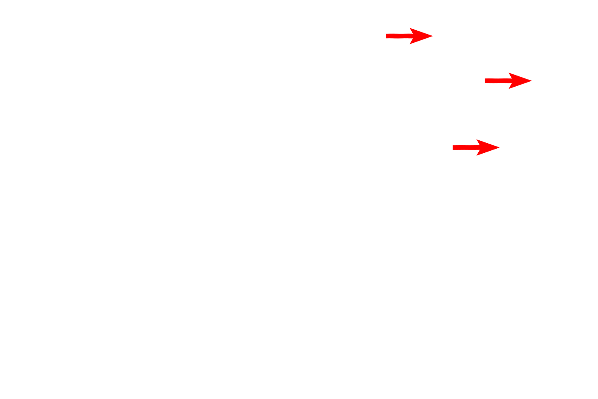 Mitochondria <p>Membranes form a major component of a number of intracellular organelles. This image shows the two membranes forming the nuclear envelope, as well as those composing rough endoplasmic reticulum (RER), smooth endoplasmic reticulum (SER) and mitochondria. 38,000x</p>
