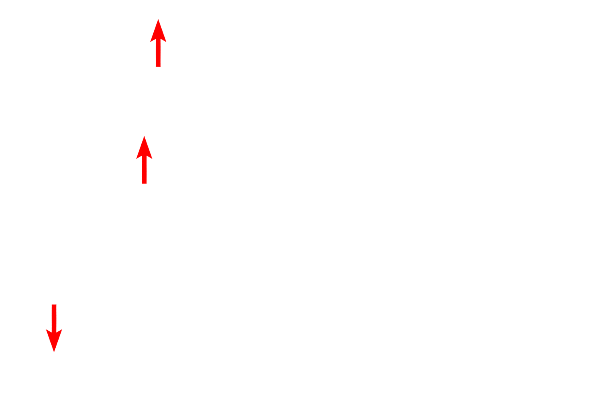  - Inner membrane <p>This electron micrograph illustrates intracellular membranes, such as SER, RER and the two membranes of the nuclear envelope. The two membranes of mitochondria are also visible; the inner membrane folding inward to form cristae.  30,000x</p>
