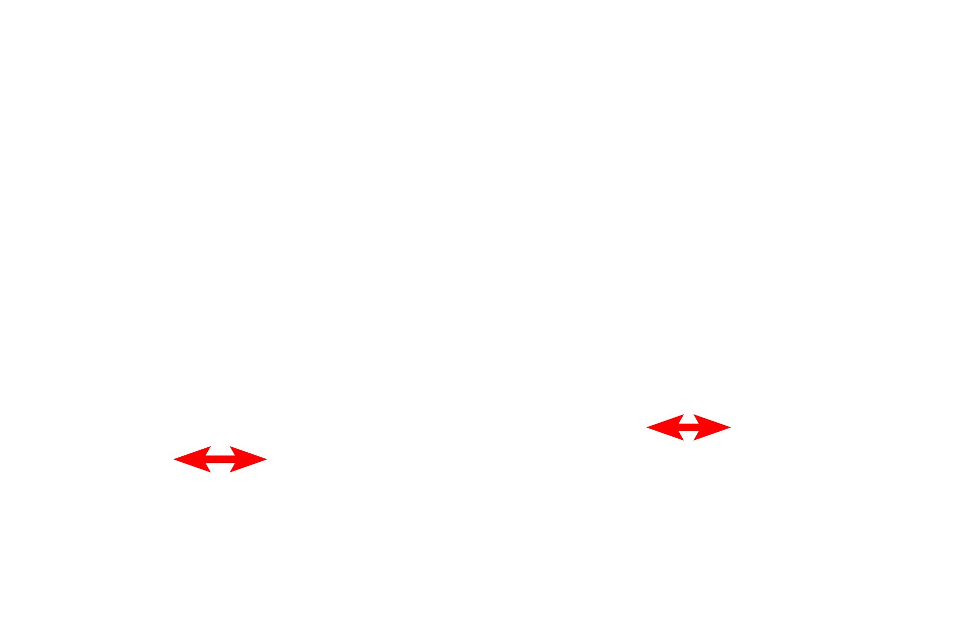 Connective tissue > <p>The core of each villus consists of loose connective tissue called the lamina propria.</p>
