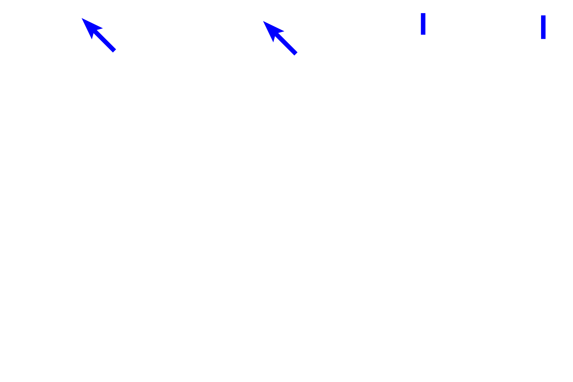 Tunica intima <p>A feature of large veins, like the vena cava shown here, is a significant amount of longitudinally-oriented smooth muscle in the tunica adventitia. In this H and E stained transverse section, the fibers are seen in cross section. The tunica media consists of circularly-arranged smooth muscle and variable amounts of smooth muscle may also be present in the tunica intima.  H and E stain, 100x</p>
