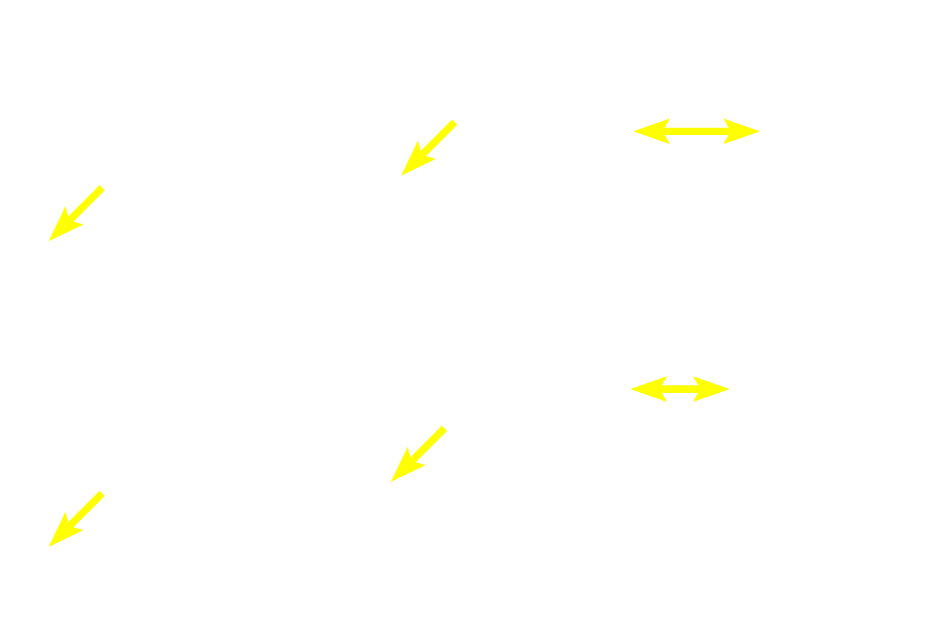  - Fibrous layer <p>The periosteum covers the outer surface of bones, except where articular cartilages are present. The periosteum consists of an outer fibrous layer of dense connective tissue and an inner osteogenic layer. The osteogenic layer varies considerably depending on its functional state, reflecting regions of relative inactivity, bone deposition, or bone resorption and remodeling. The periosteum is also well vascularized and innervated.  800x </p>

