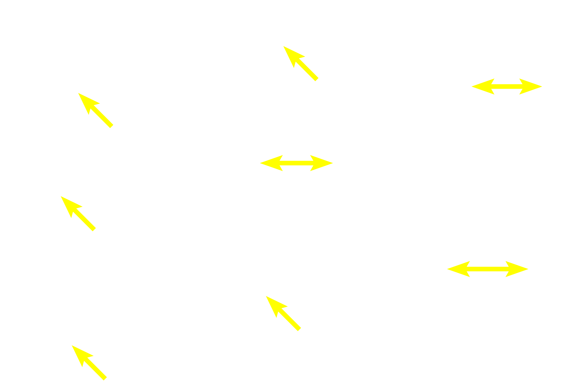  - Osteogenic layer <p>The periosteum covers the outer surface of bones, except where articular cartilages are present. The periosteum consists of an outer fibrous layer of dense connective tissue and an inner osteogenic layer. The osteogenic layer varies considerably depending on its functional state, reflecting regions of relative inactivity, bone deposition, or bone resorption and remodeling. The periosteum is also well vascularized and innervated.  800x </p>
