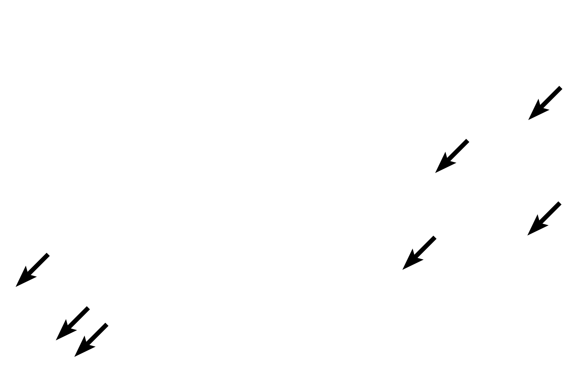 Bone lining cells <p>The endosteum consists of single layer of cells that covers all internal bone surfaces including spicules of spongy bone and the inner surface of the marrow cavity. The endosteum also extends into Haversian and Volkmann’s canals. In non-active regions, the cells are squamous-shaped and include osteoprogenitor cells and bone lining cells. In areas of active bone deposition, osteoblasts are present; areas of bone resorption are marked by the presence of osteoclasts.  600x (left and middle); 400x (right) </p>
