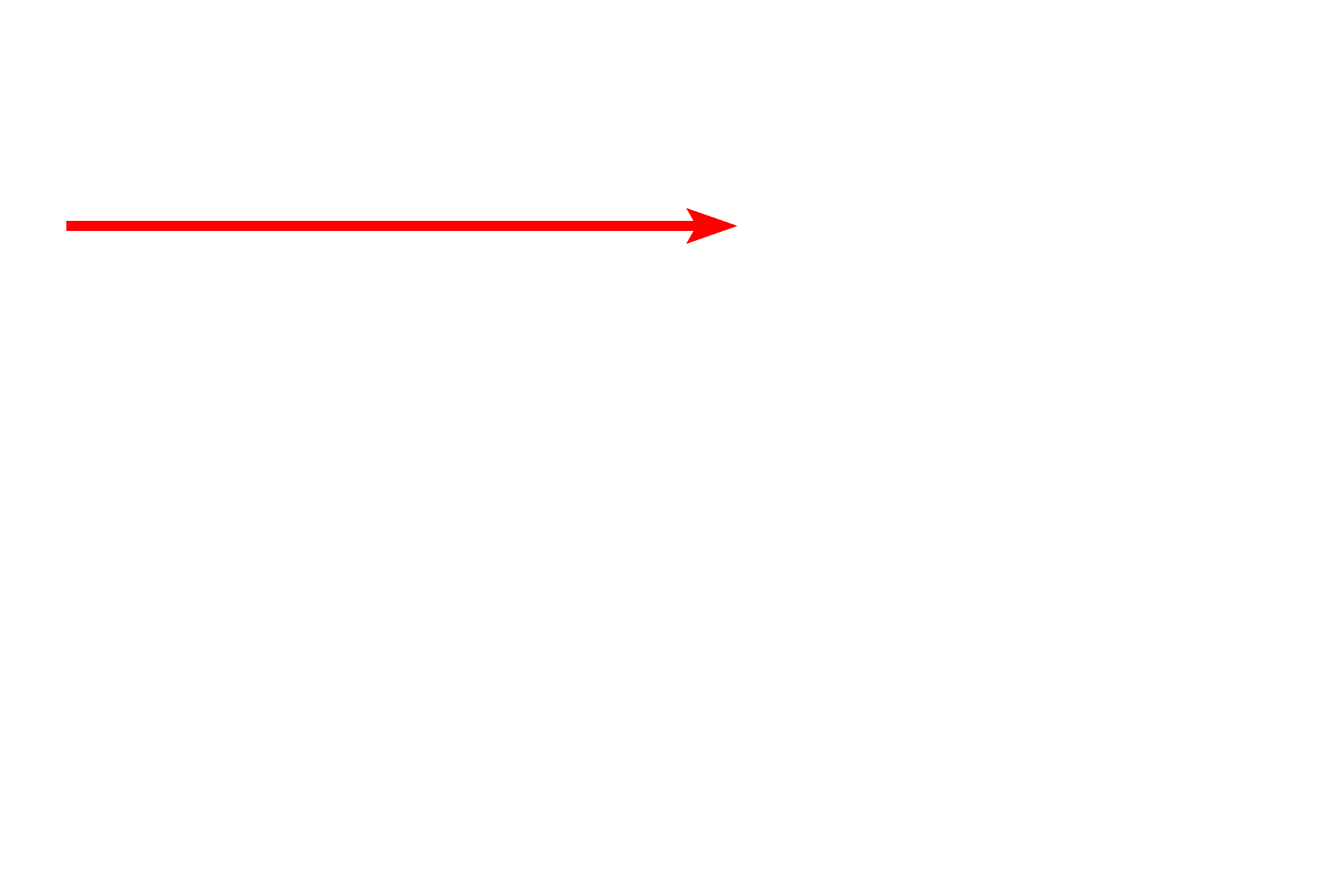 Cilia section plane >  <p>The cross sectional image of cilia on the right corresponds to the level indicated by the red arrow.</p>
