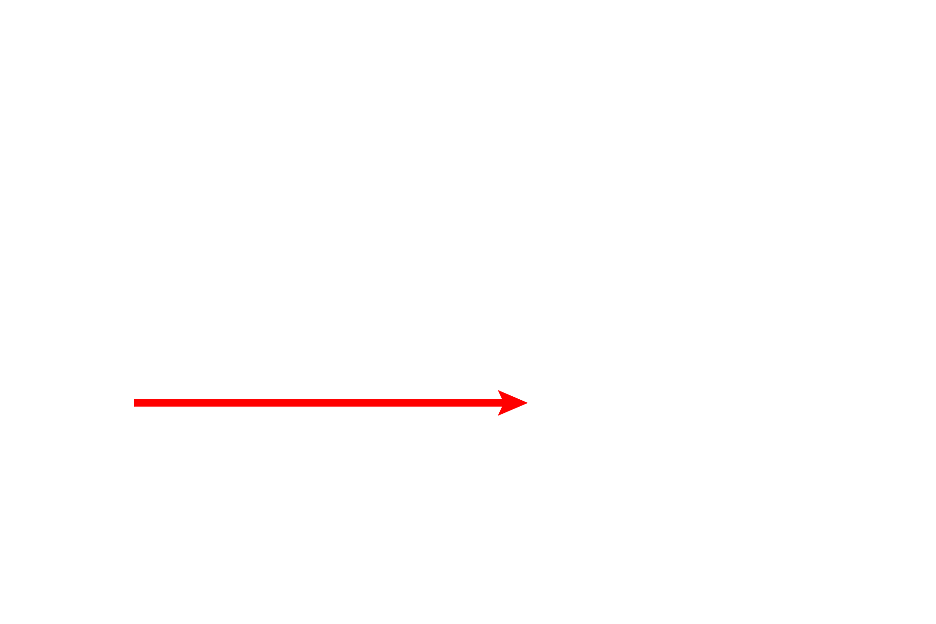 Basal body section plane >  <p>The cross sectional image of basal bodies on the right corresponds to the level indicated by the red arrow.</p>
