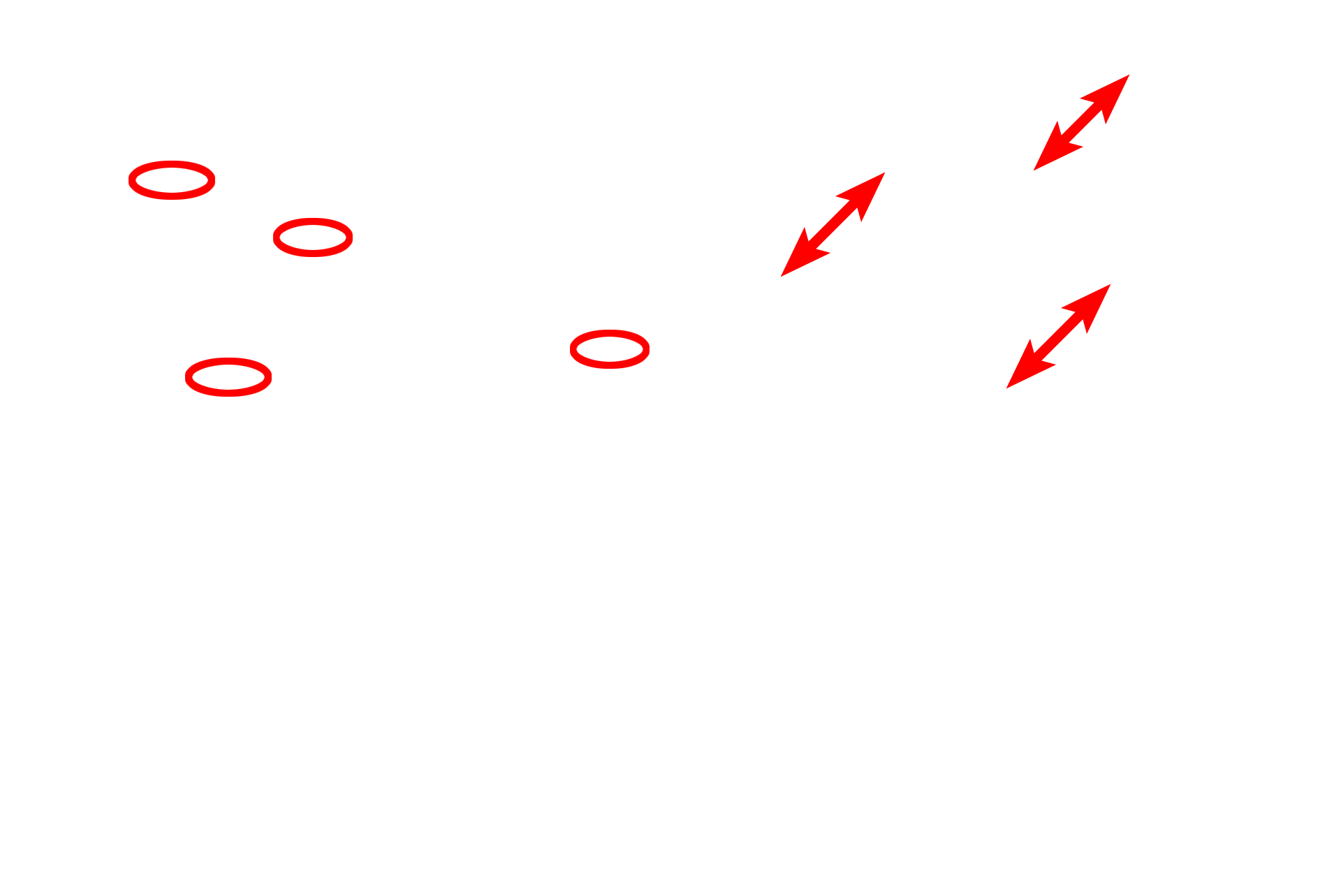  - Axoneme >  <p>The axoneme forms the central core of a cilium and consists of nine pairs of microtubules (doublets) surrounding two central, individual microtubules (9 + 2 arrangement). The doublets arise from microtubules in the basal body, while the central pair is assembled de novo at the base of the cilium. Molecular interactions between the microtubule doublets produce the whip-like motion of the cilium while the central pair serves to regulate ciliary motility. The axoneme extends the length of the cilium and a similar structure is present in flagella.</p>
