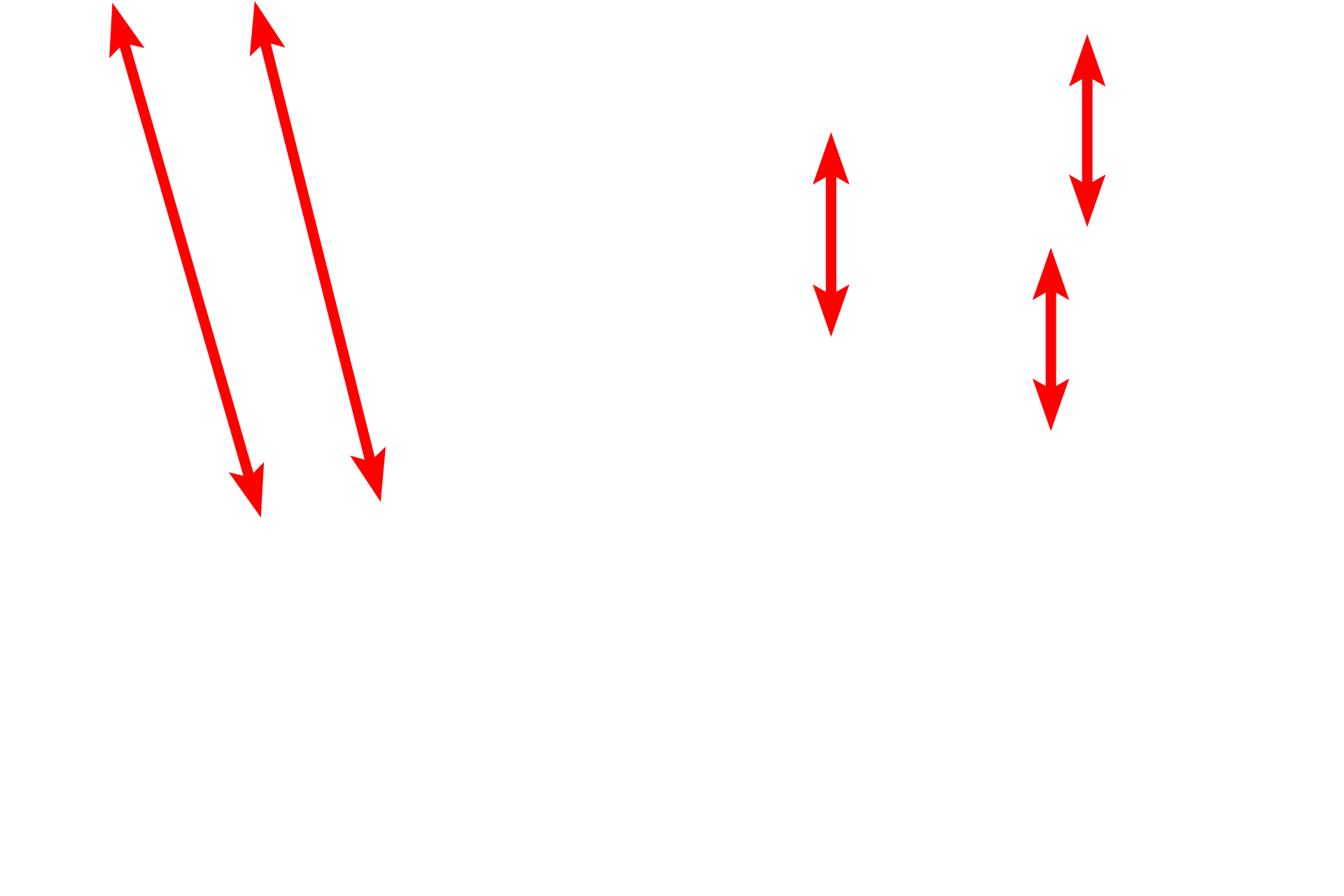 Cilia <p>The cross sectional image of cilia on the right corresponds to the level indicated by the red arrow.</p>
